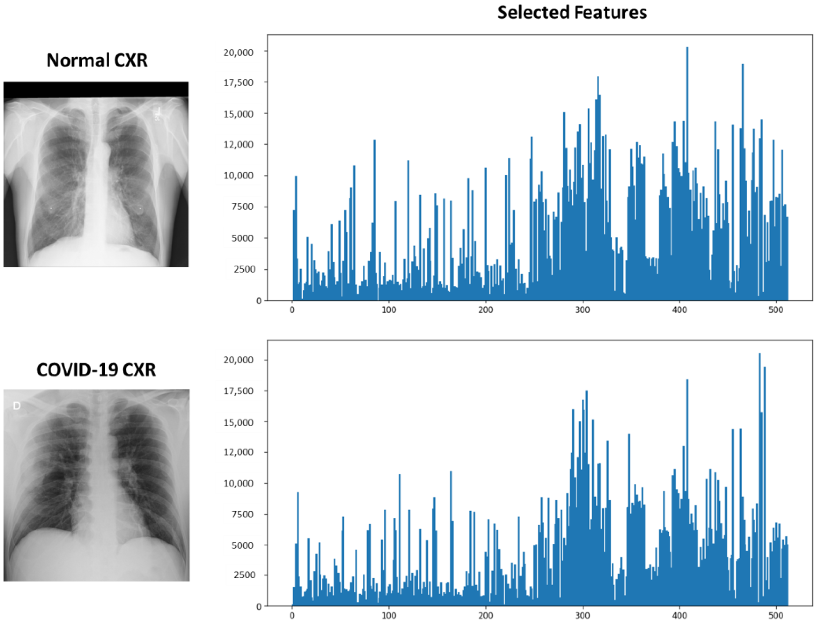 Diagnostics 13 01387 g004