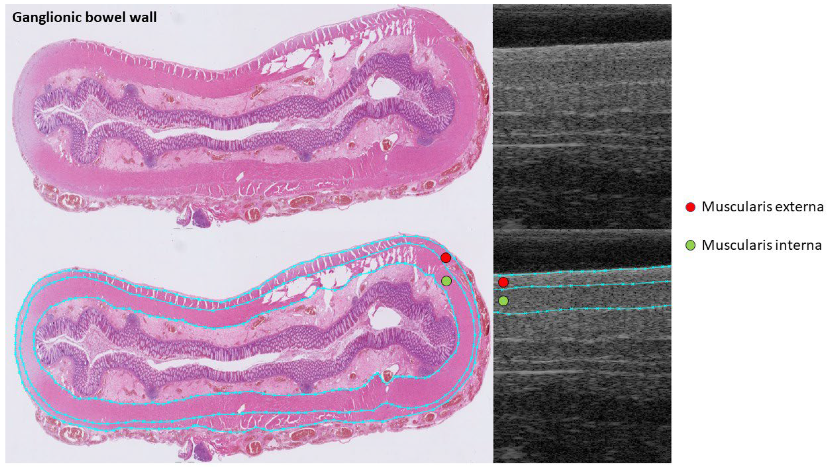 Diagnostics 13 01388 g002