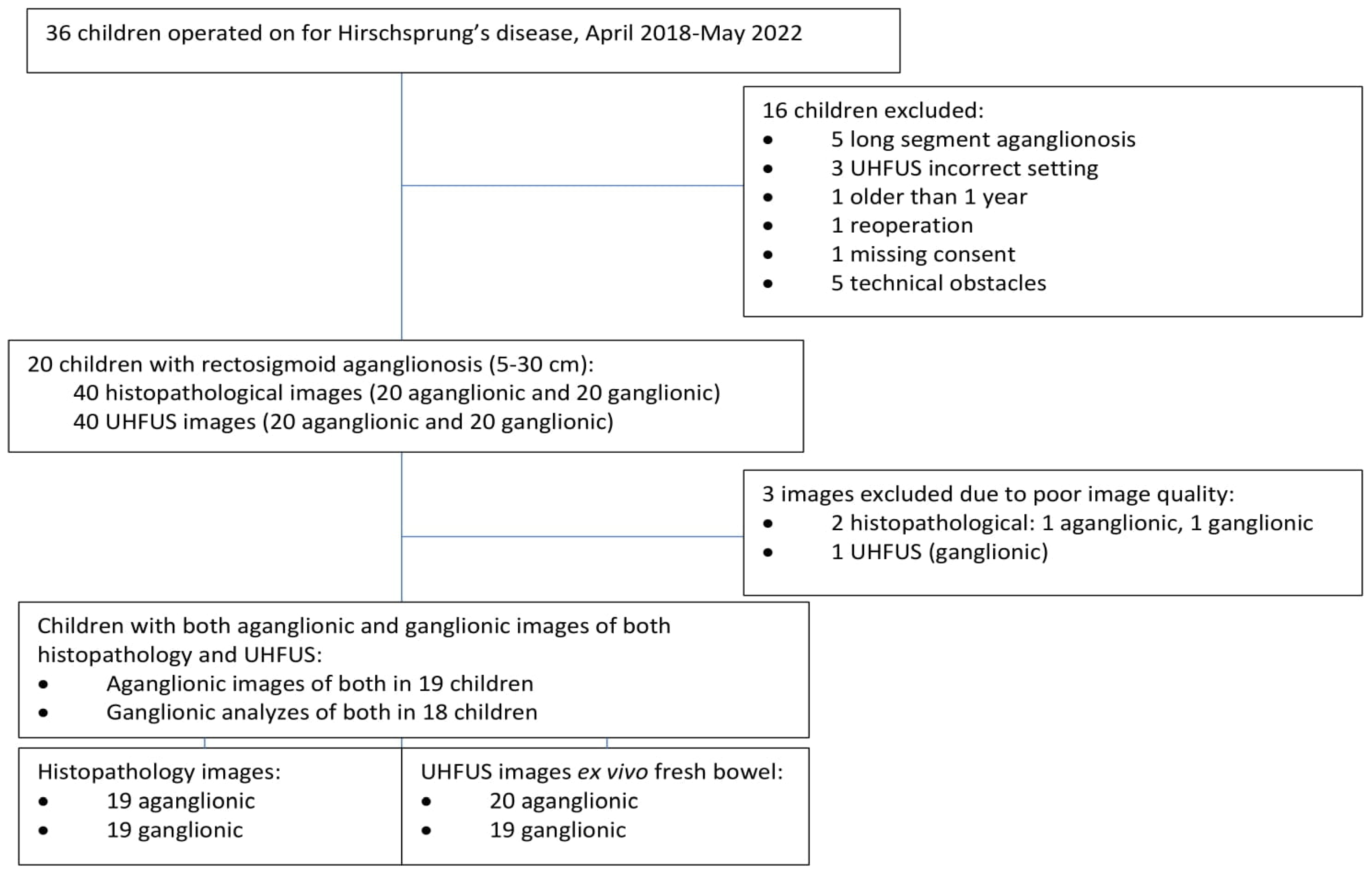 Diagnostics 13 01388 g003
