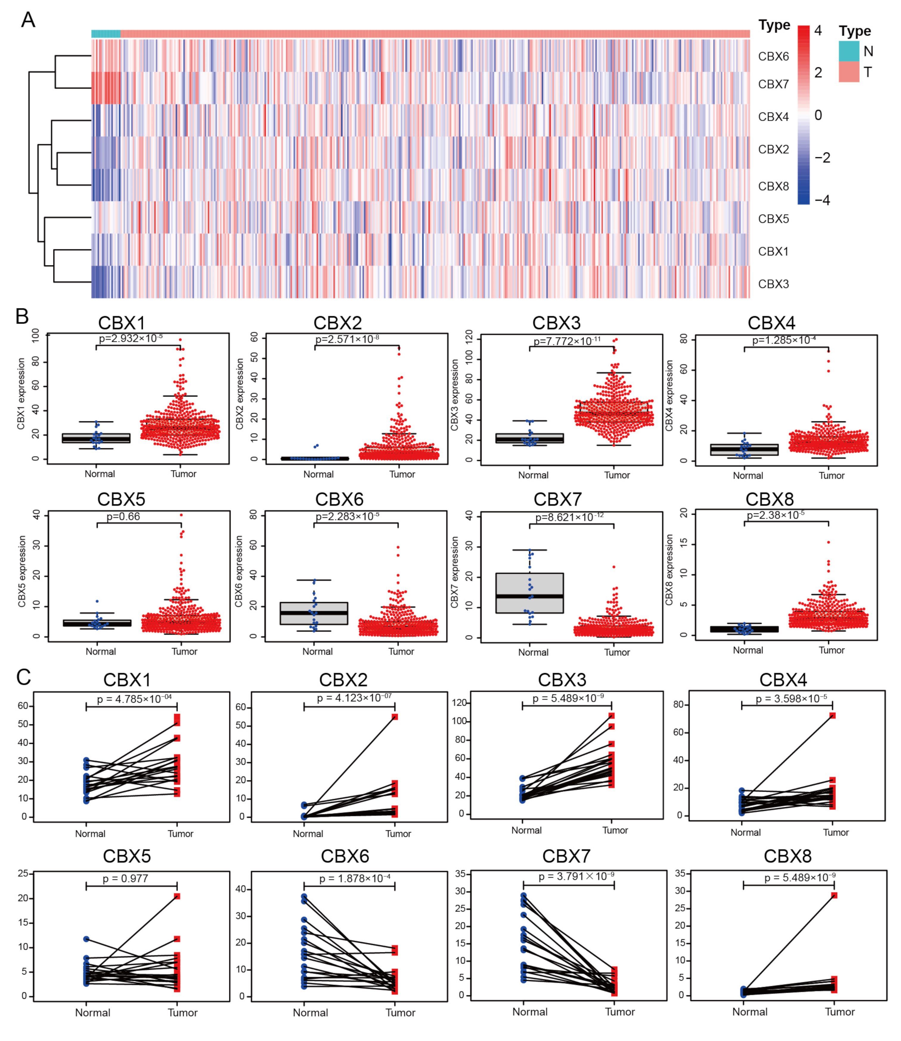 Diagnostics 13 01393 g001