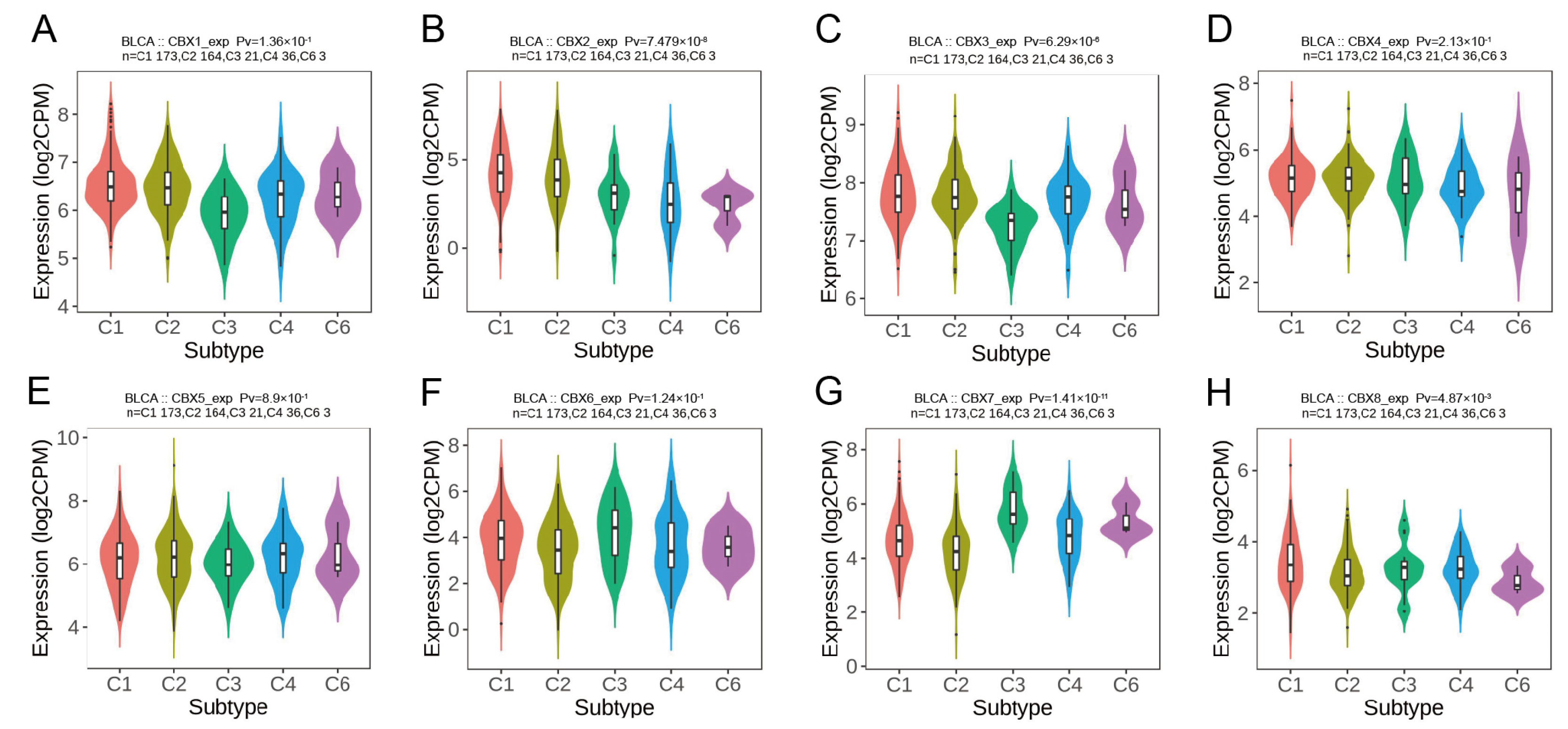 Diagnostics 13 01393 g002