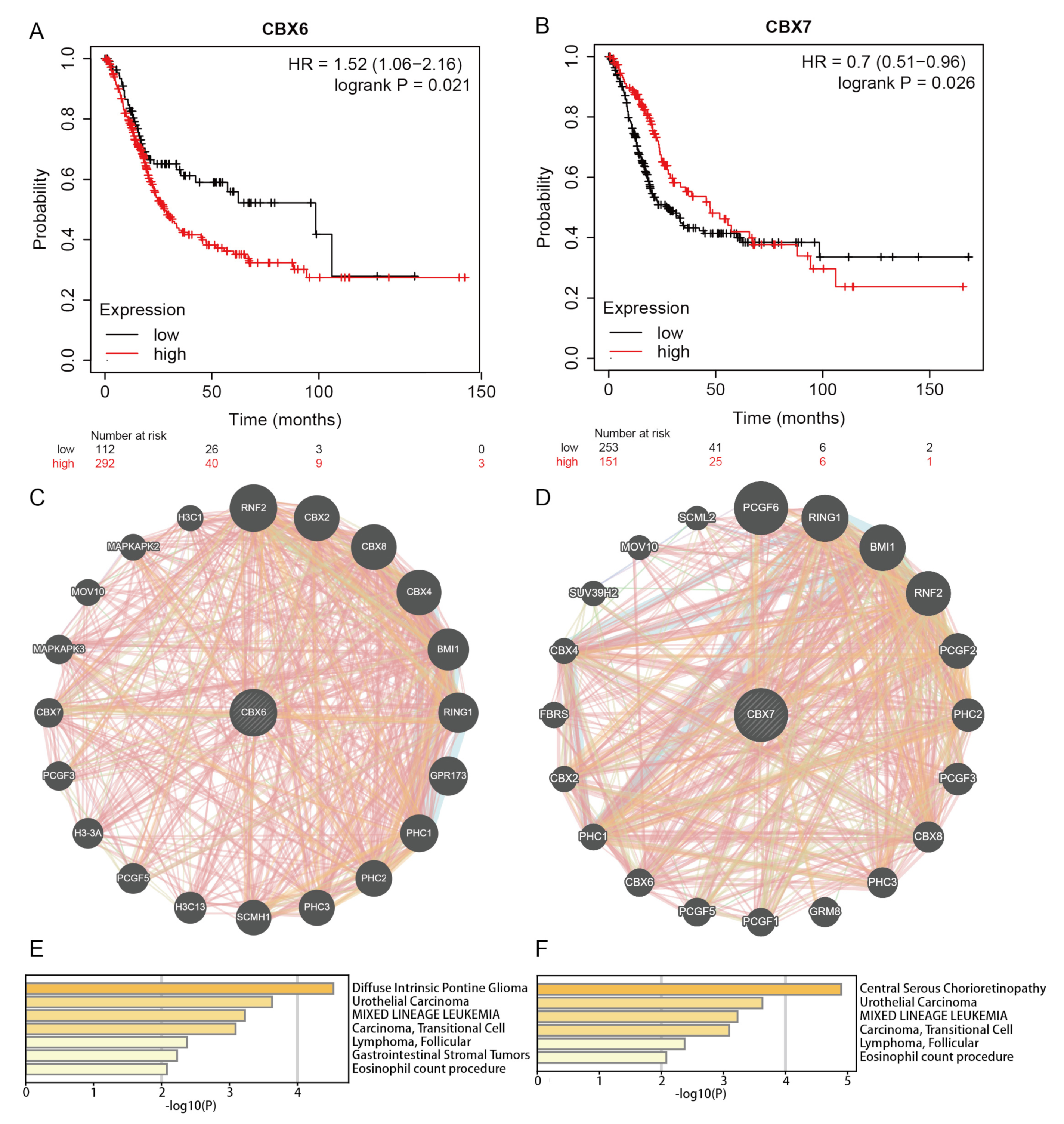 Diagnostics 13 01393 g005