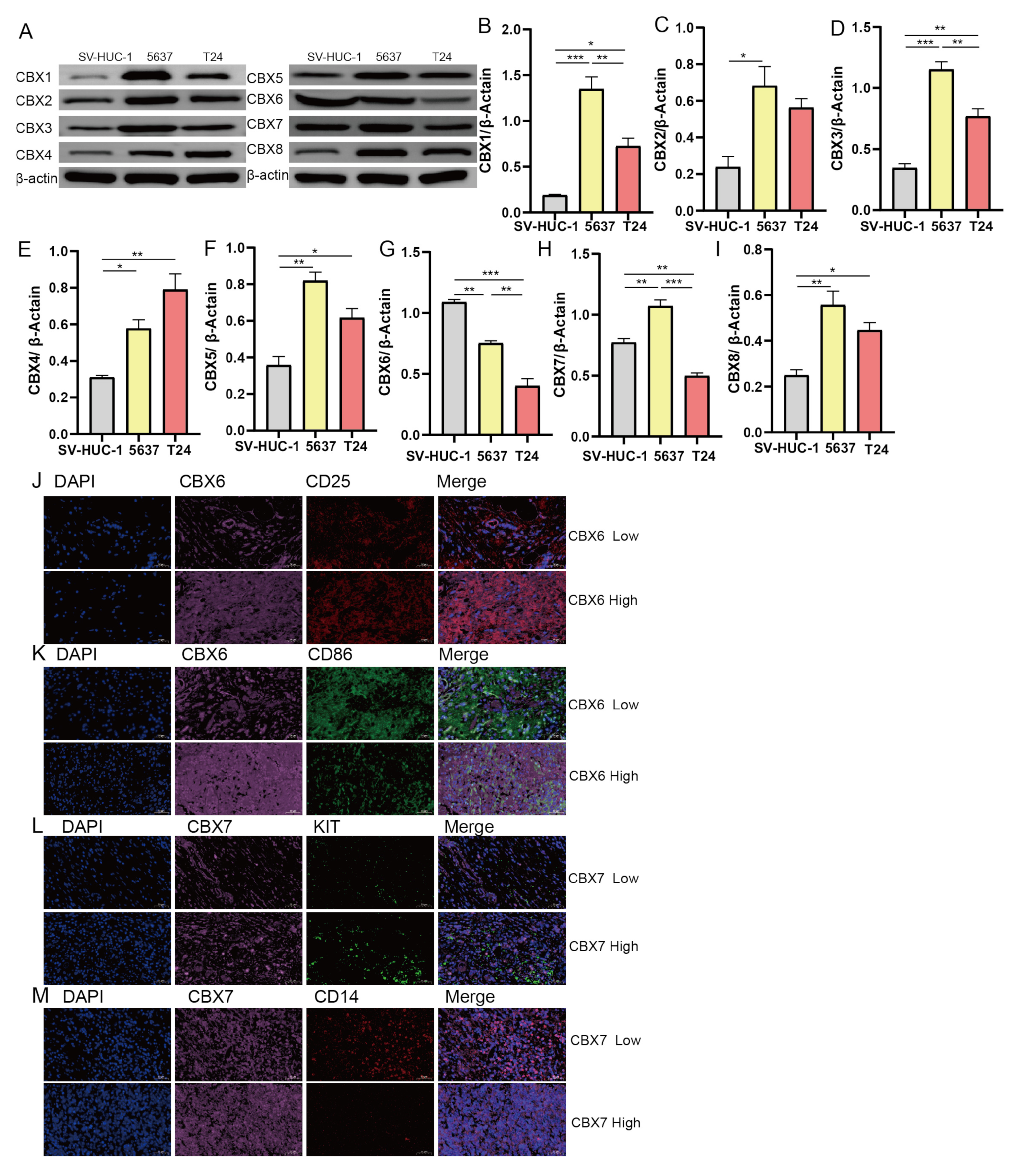 Diagnostics 13 01393 g011
