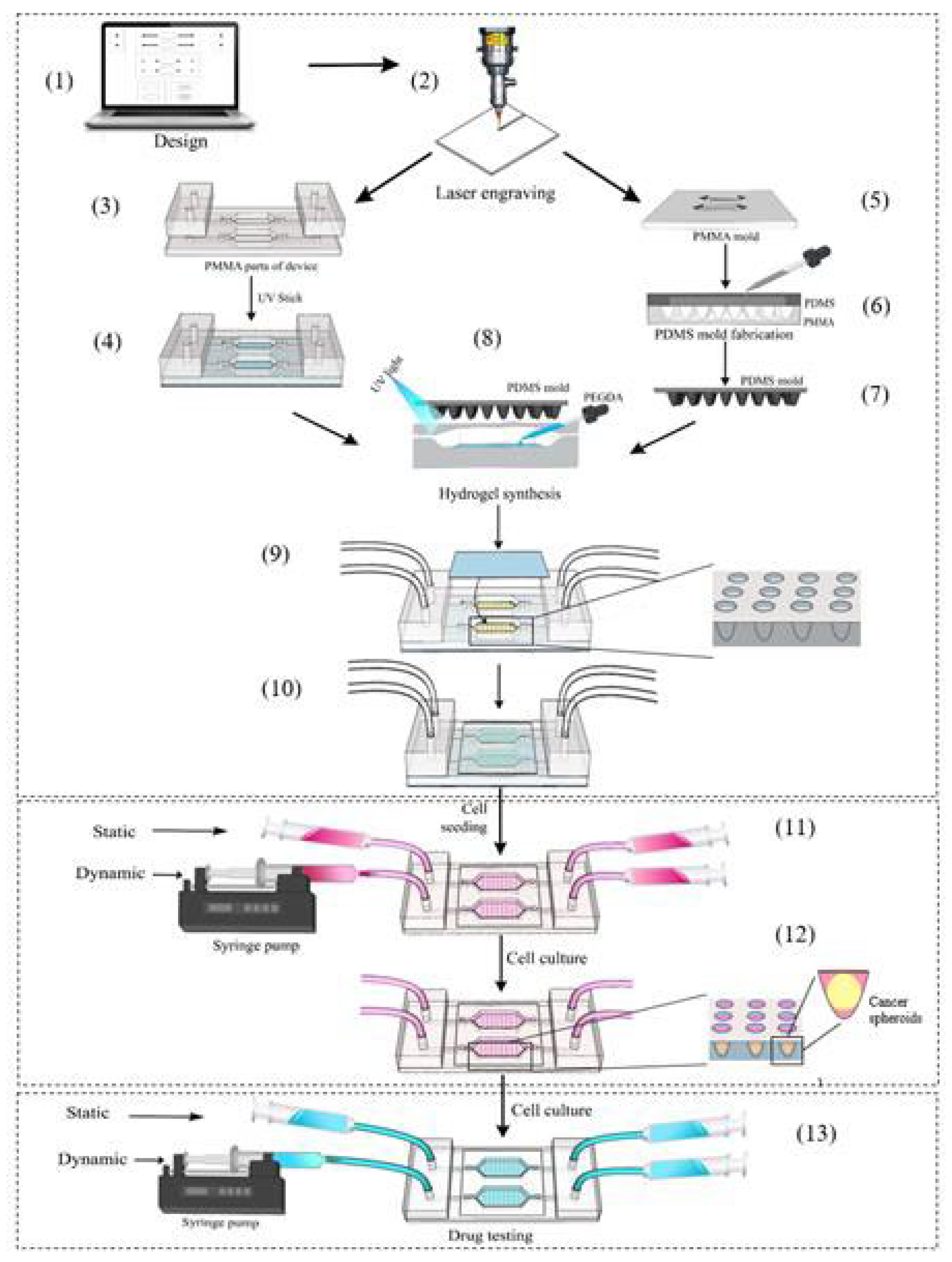 Diagnostics 13 01394 g001
