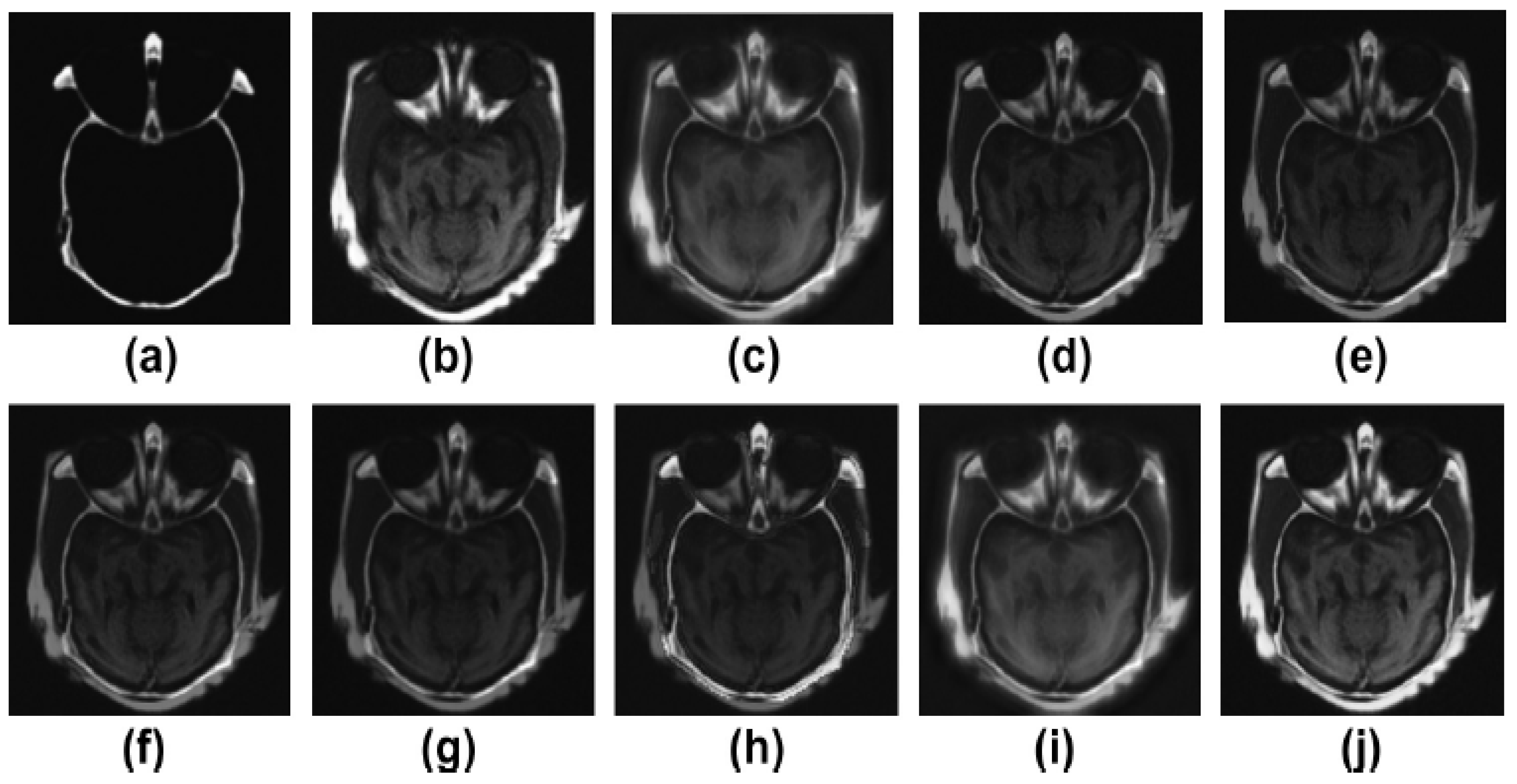 Diagnostics 13 01395 g002