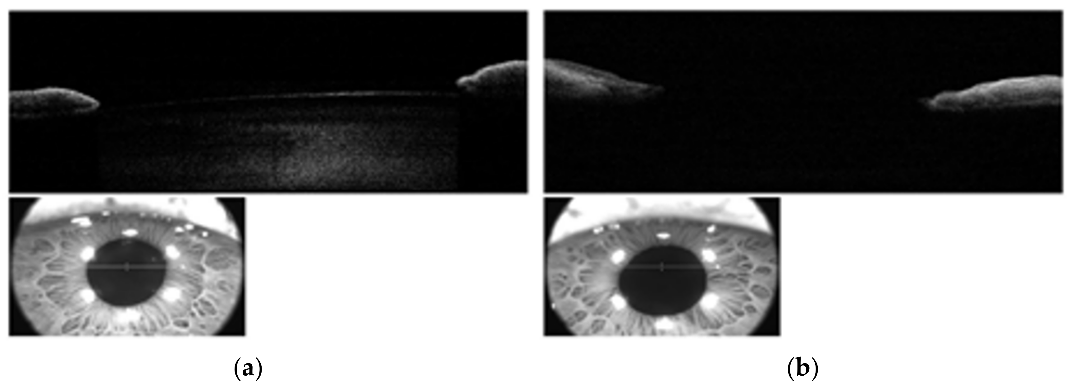Diagnostics 13 01400 g002