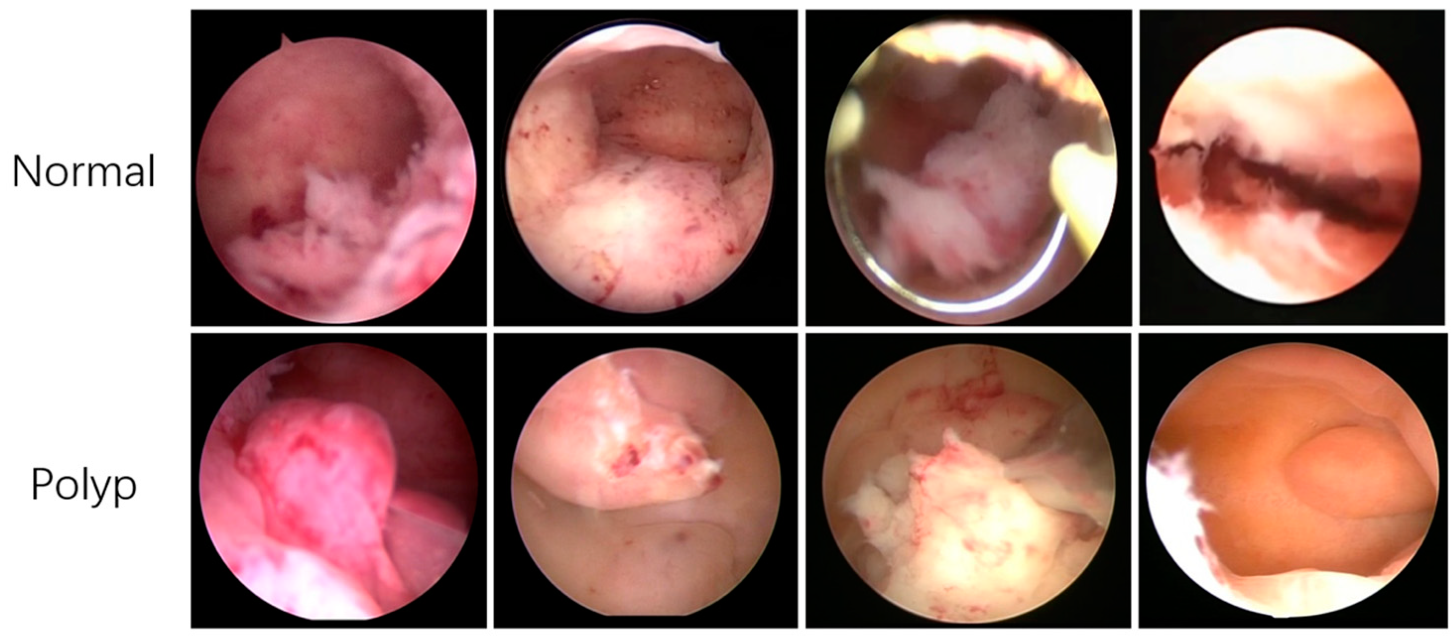 Diagnostics 13 01409 g001