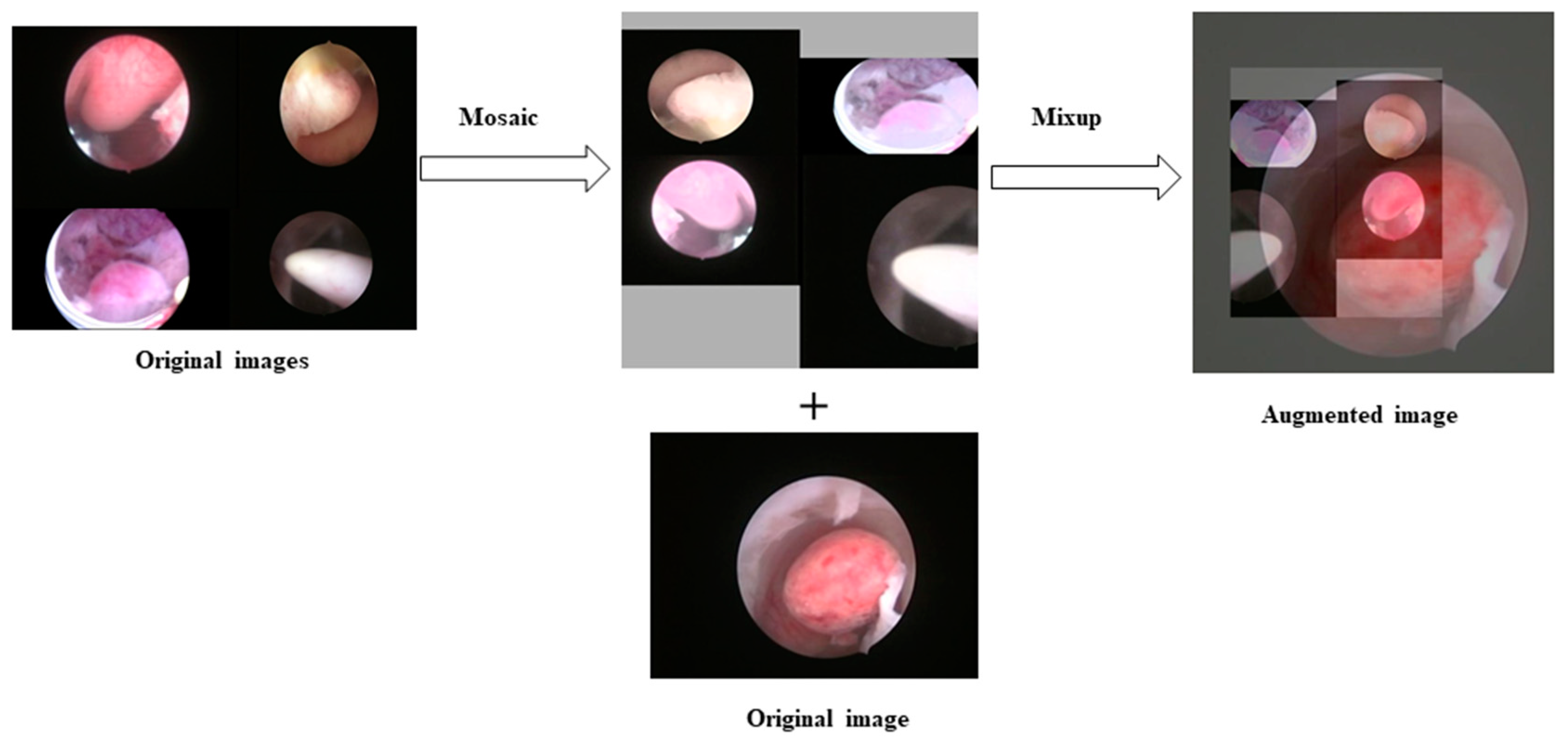 Diagnostics 13 01409 g003