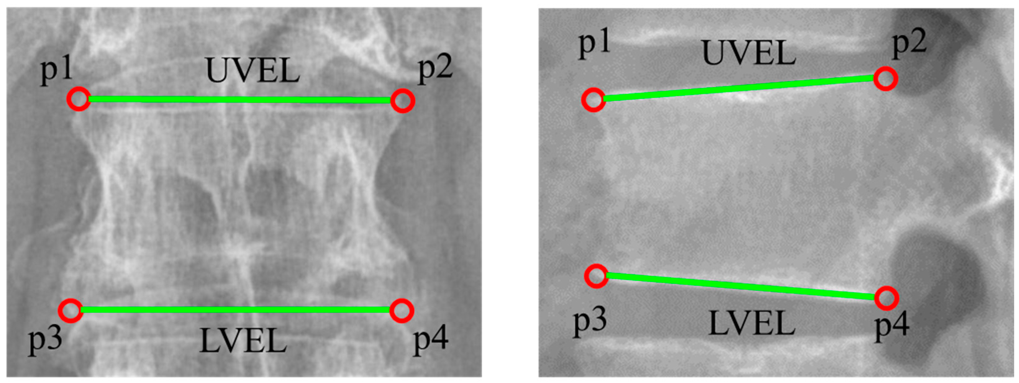 Diagnostics 13 01411 g002