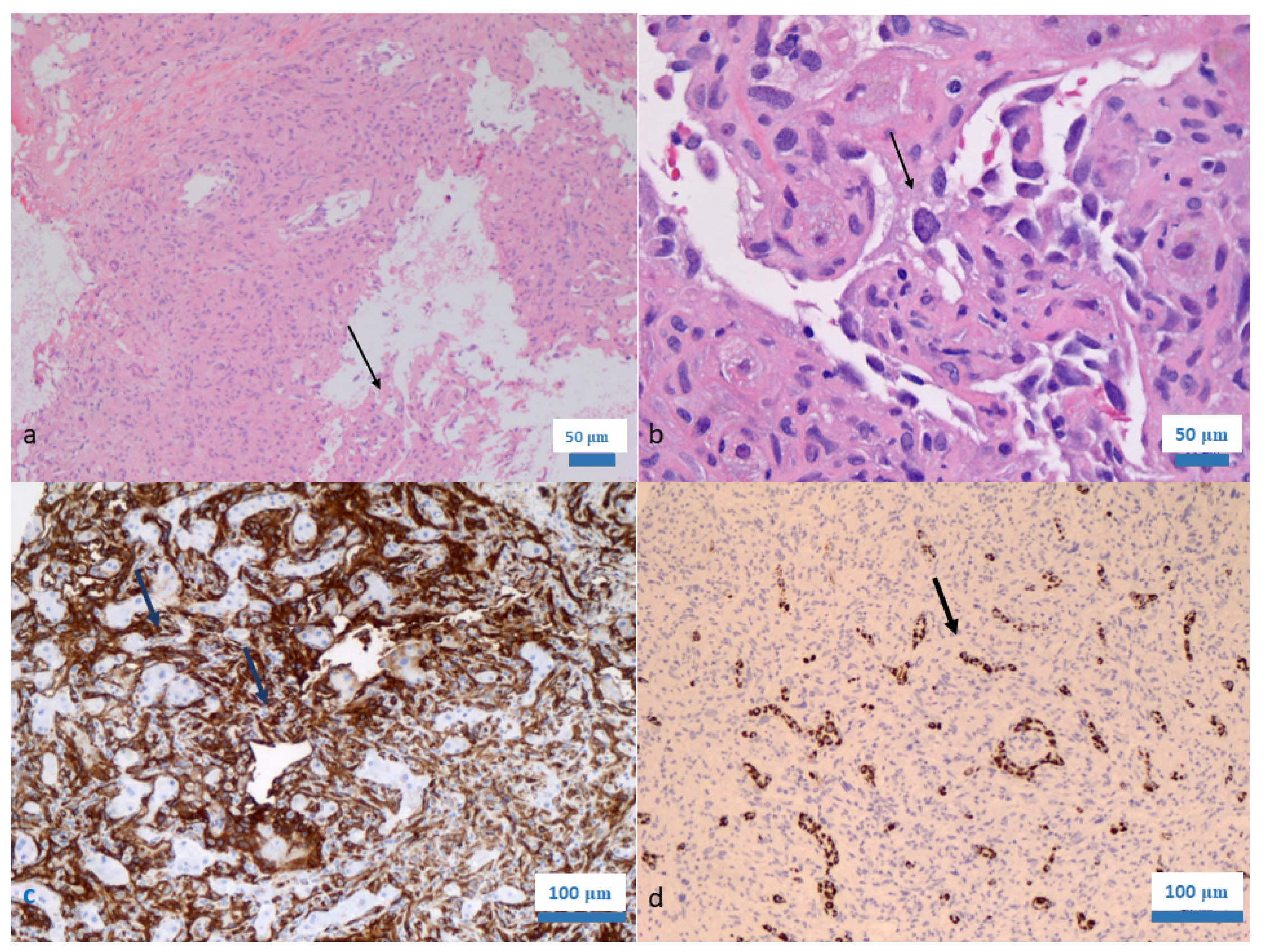 Diagnostics 13 01412 g001