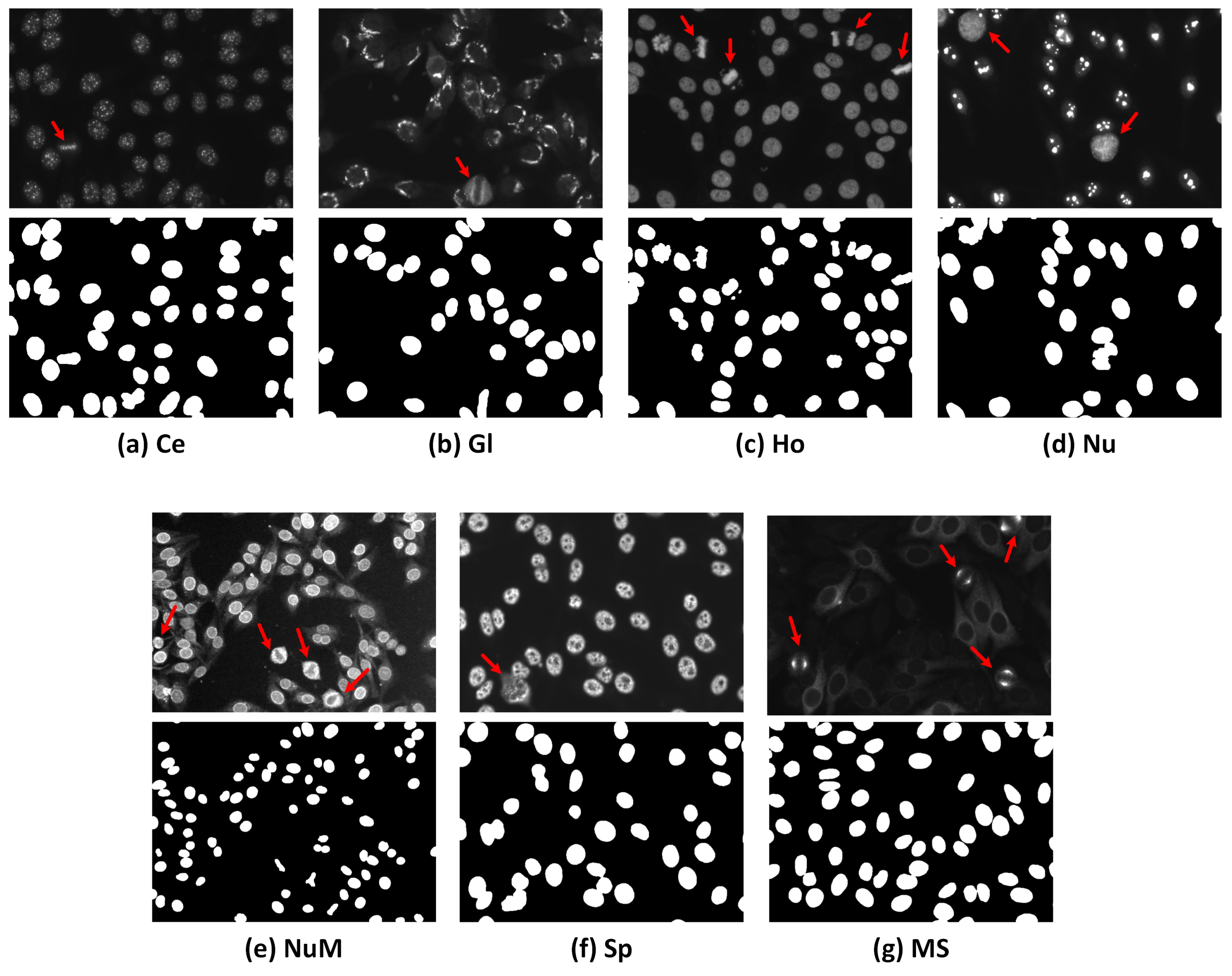 Diagnostics 13 01416 g001