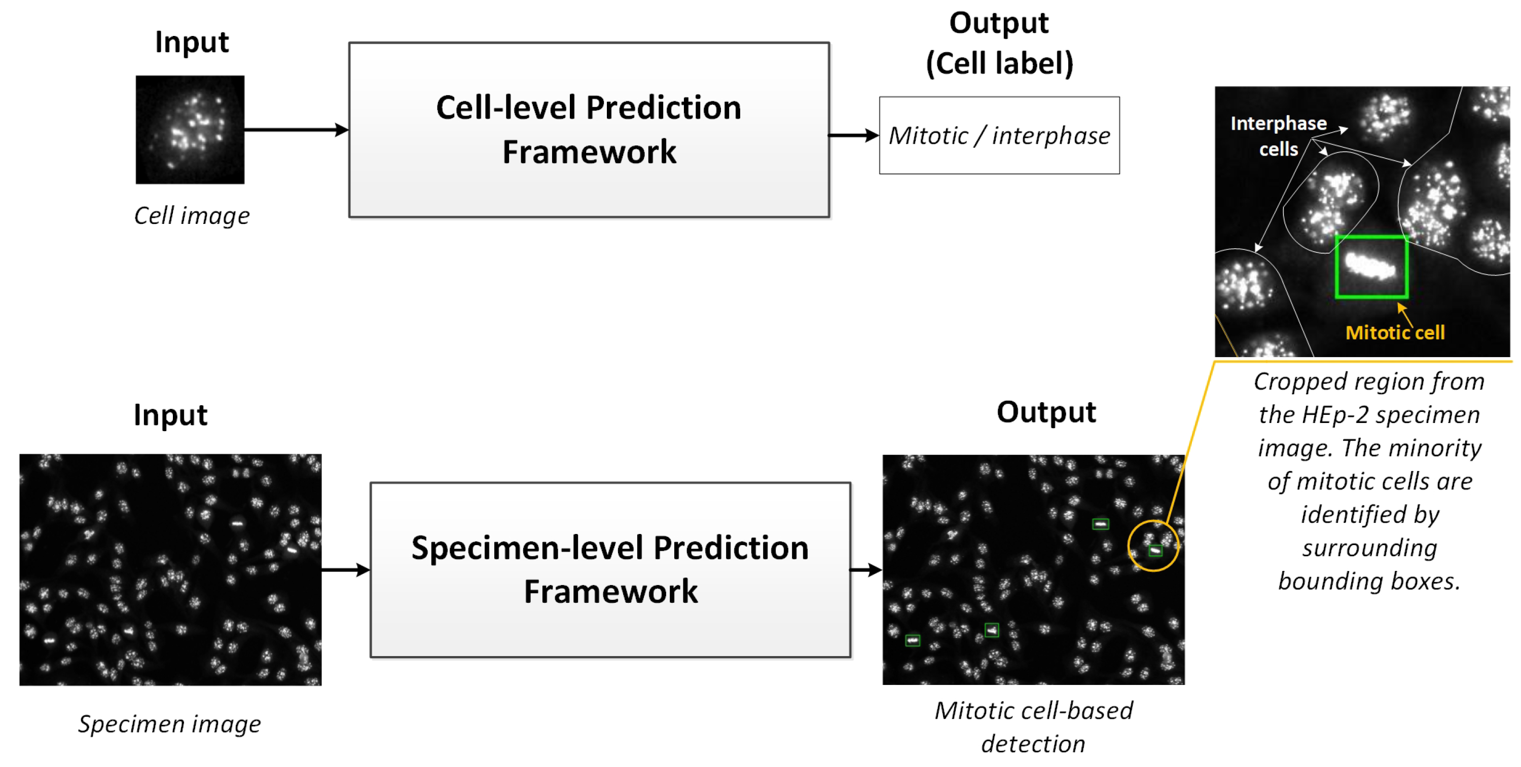Diagnostics 13 01416 g002