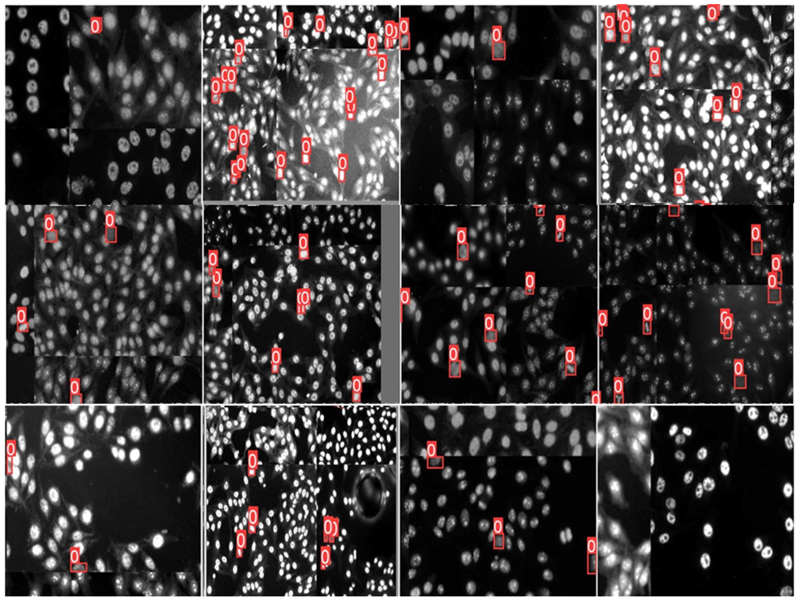 Diagnostics 13 01416 g007