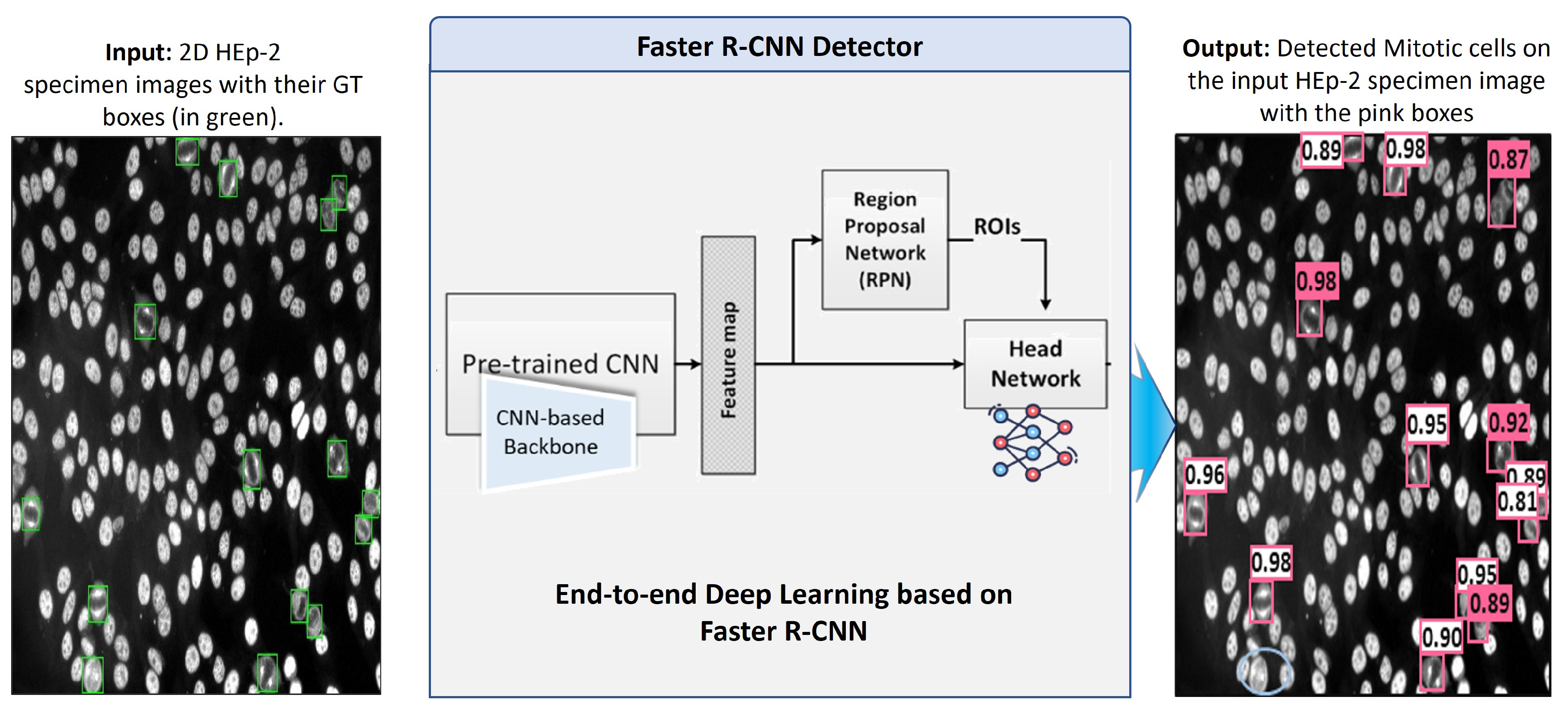 Diagnostics 13 01416 g009