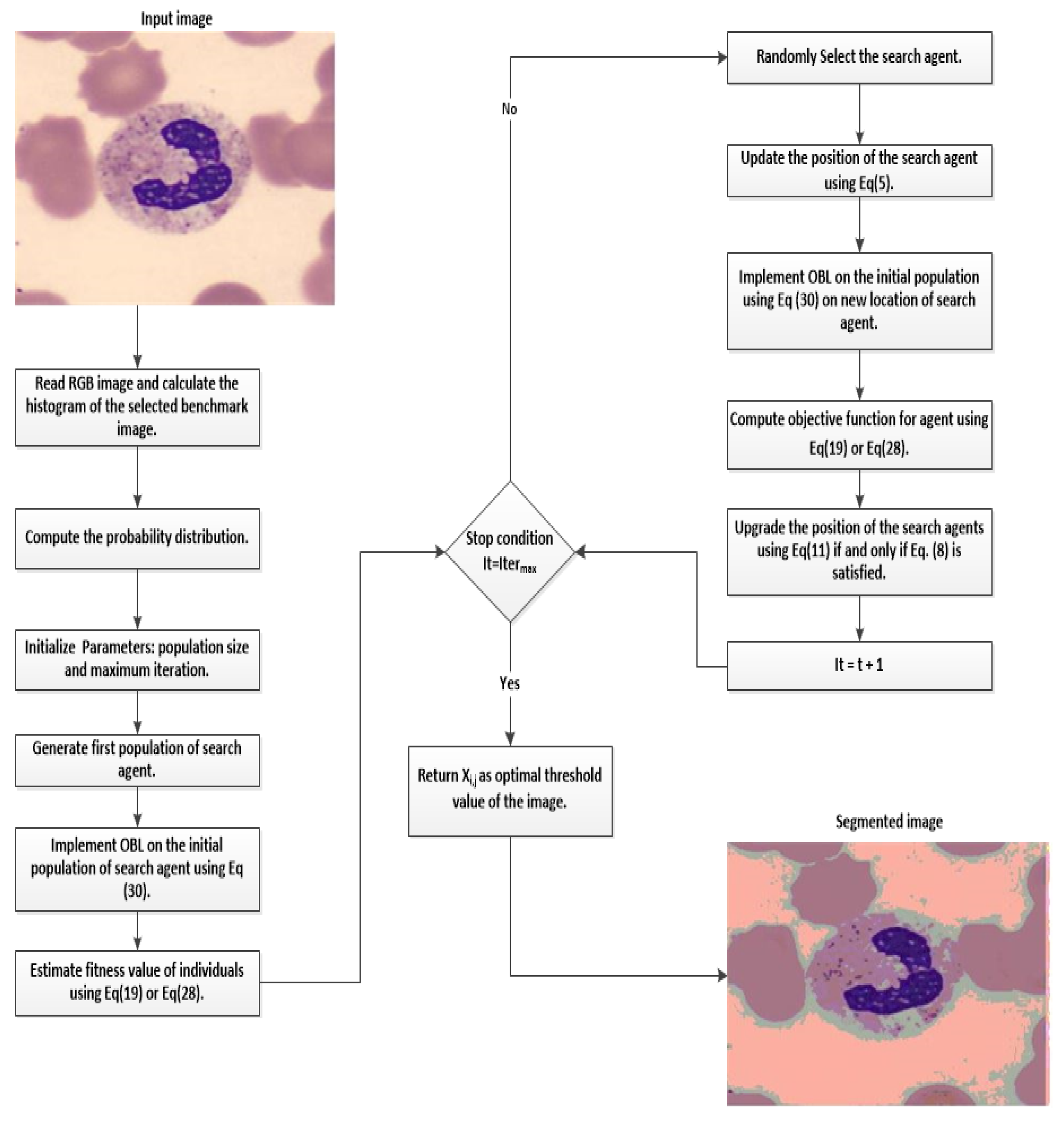 Diagnostics 13 01422 g002