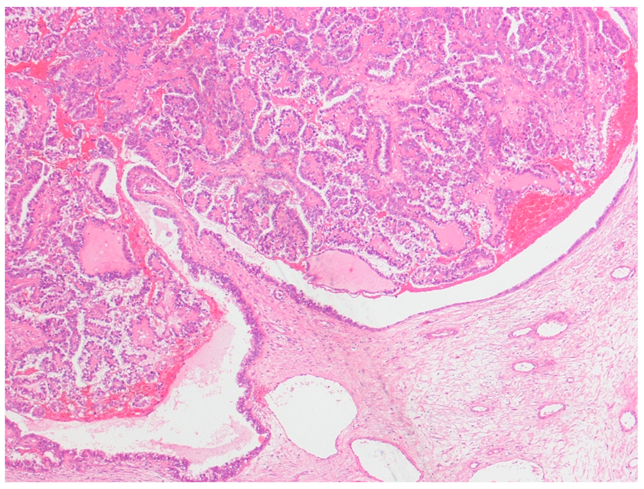 Diagnostics 13 01425 g001