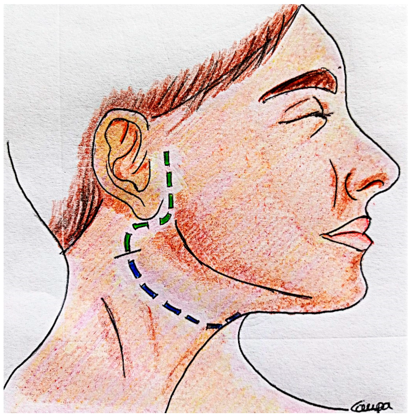 Diagnostics 13 01426 g003