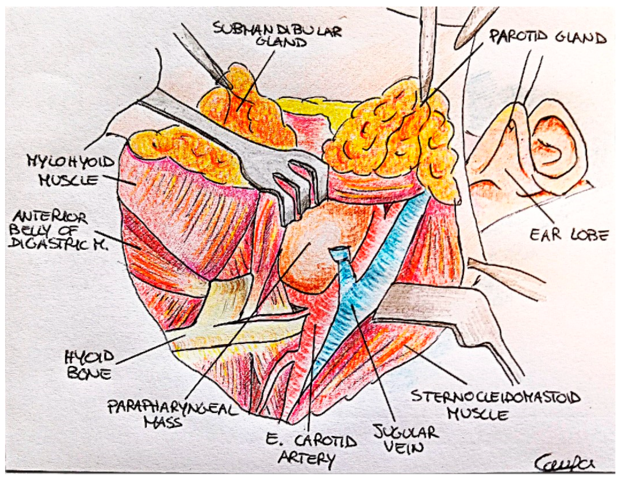 Diagnostics 13 01426 g004