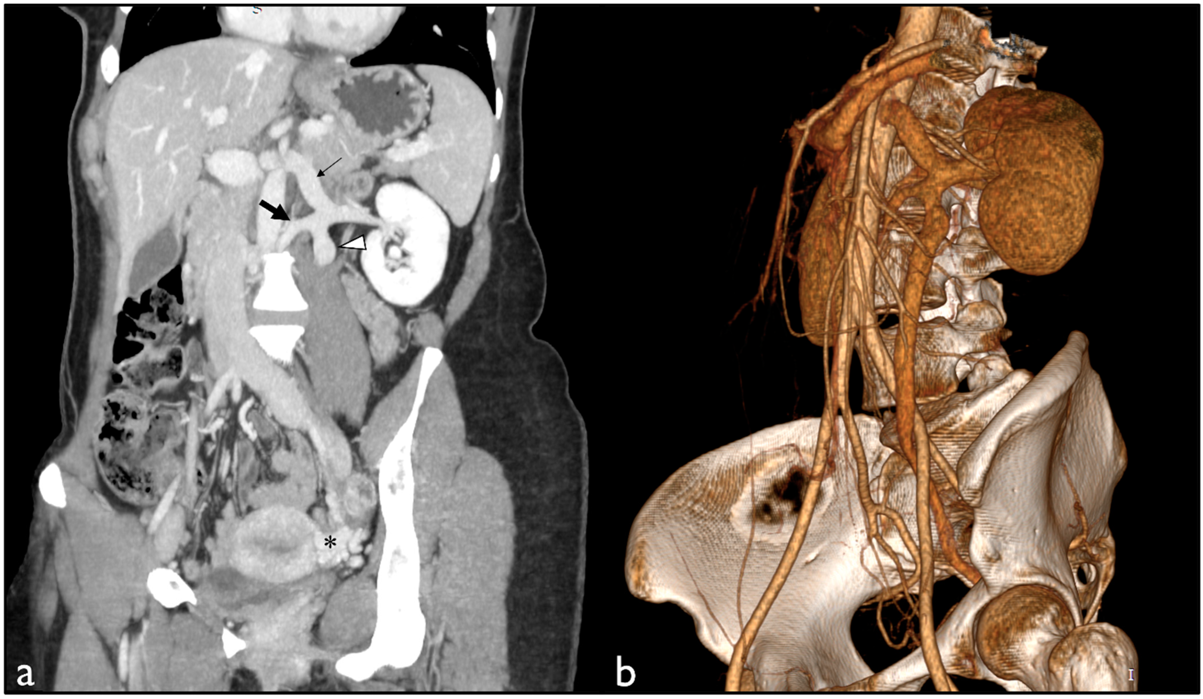 Diagnostics 13 01433 g002