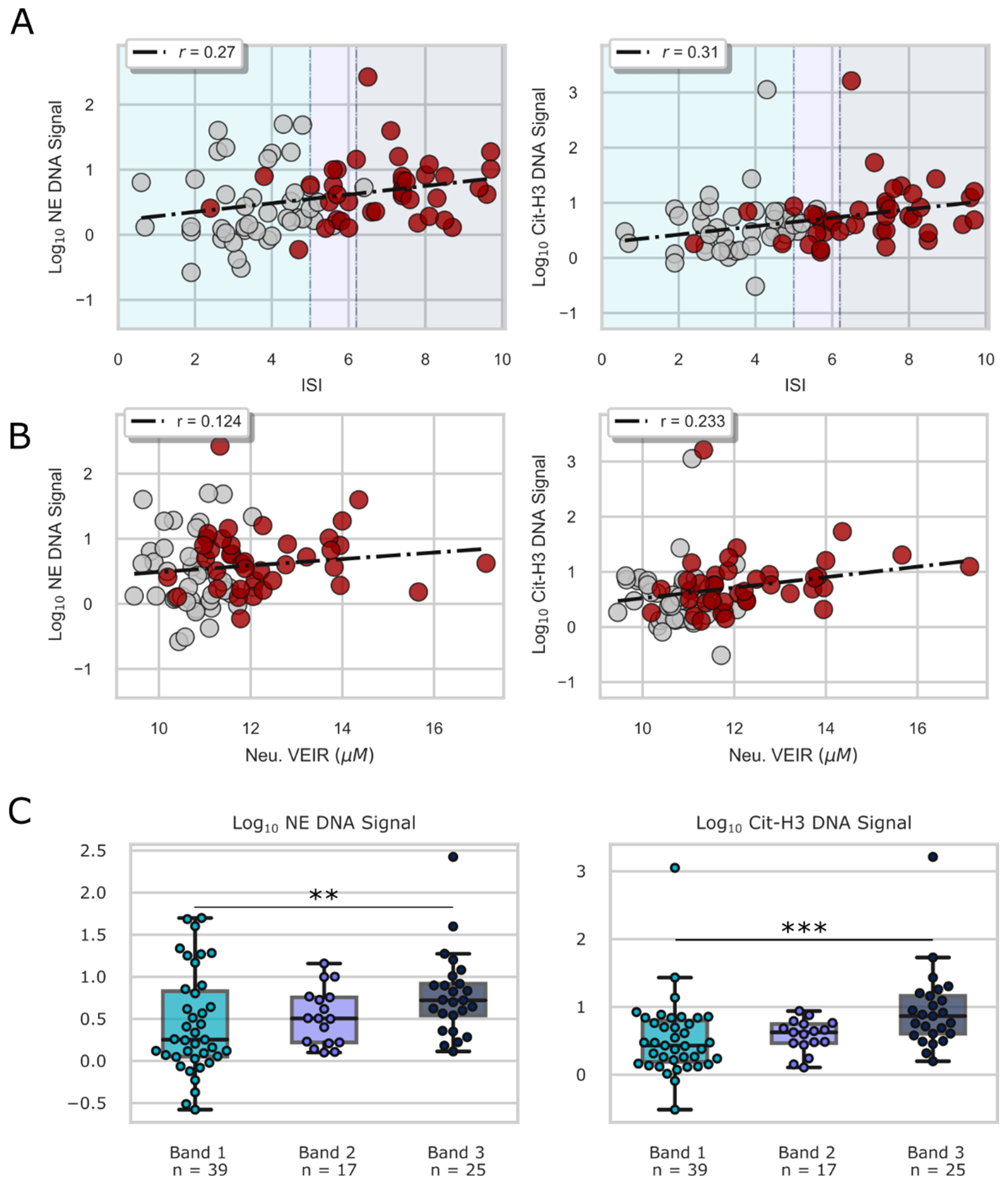 Diagnostics 13 01435 g004
