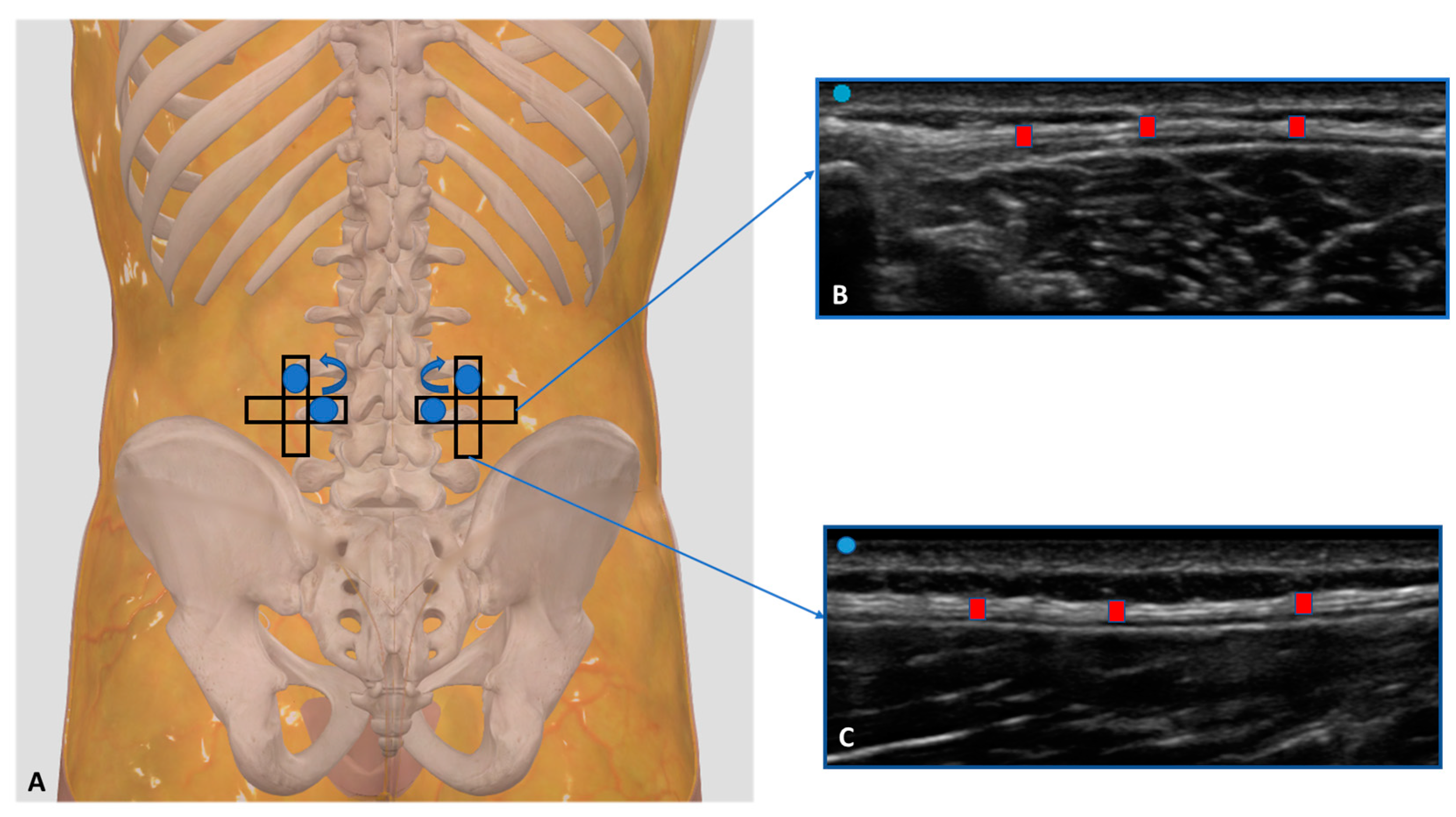 Diagnostics 13 01436 g001