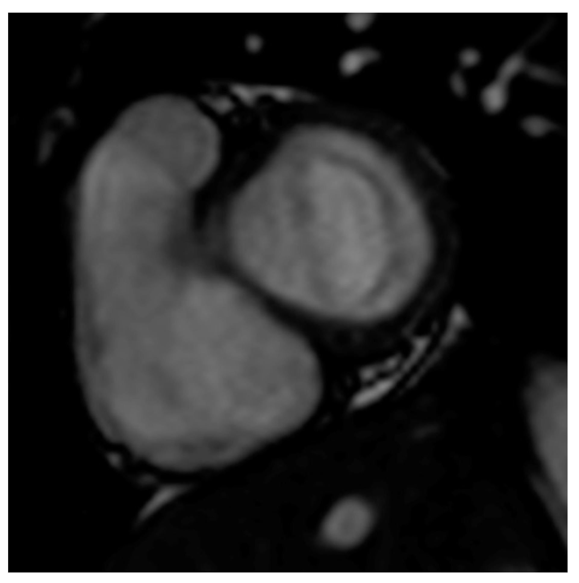 Diagnostics 13 01437 g001