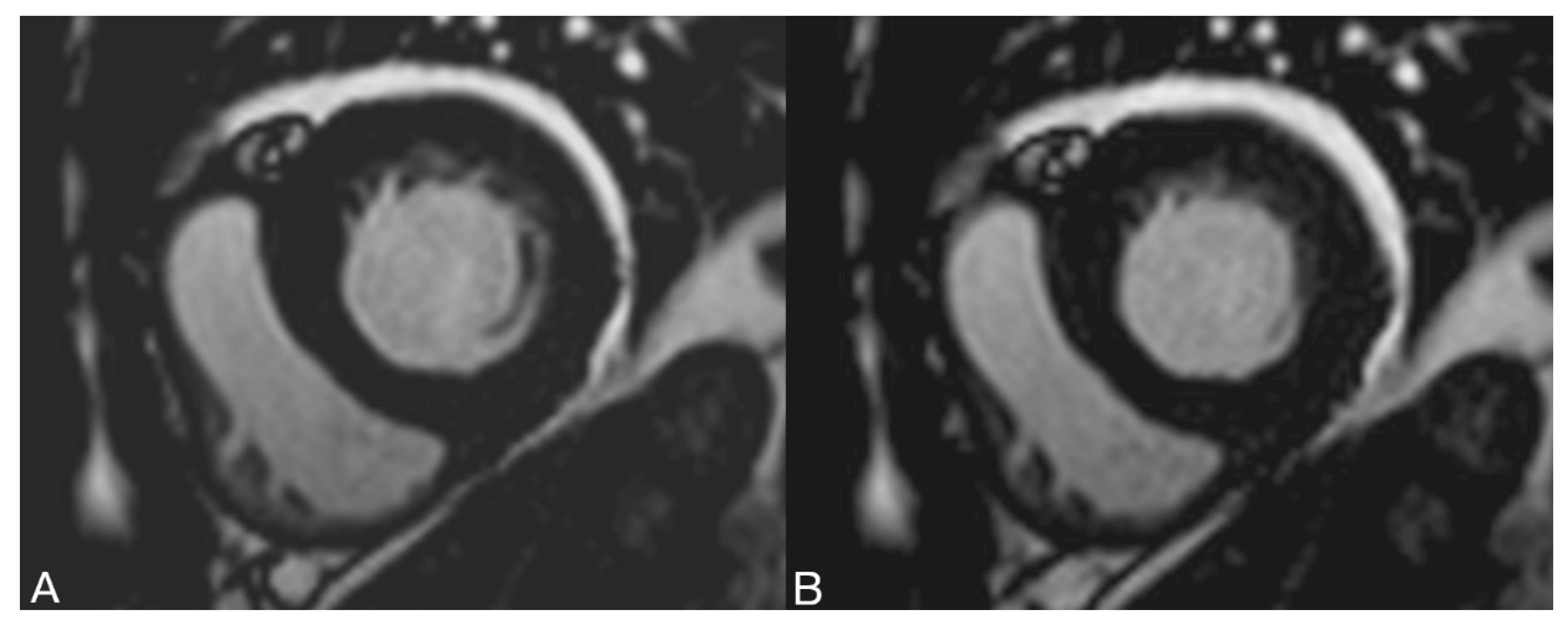 Diagnostics 13 01437 g005
