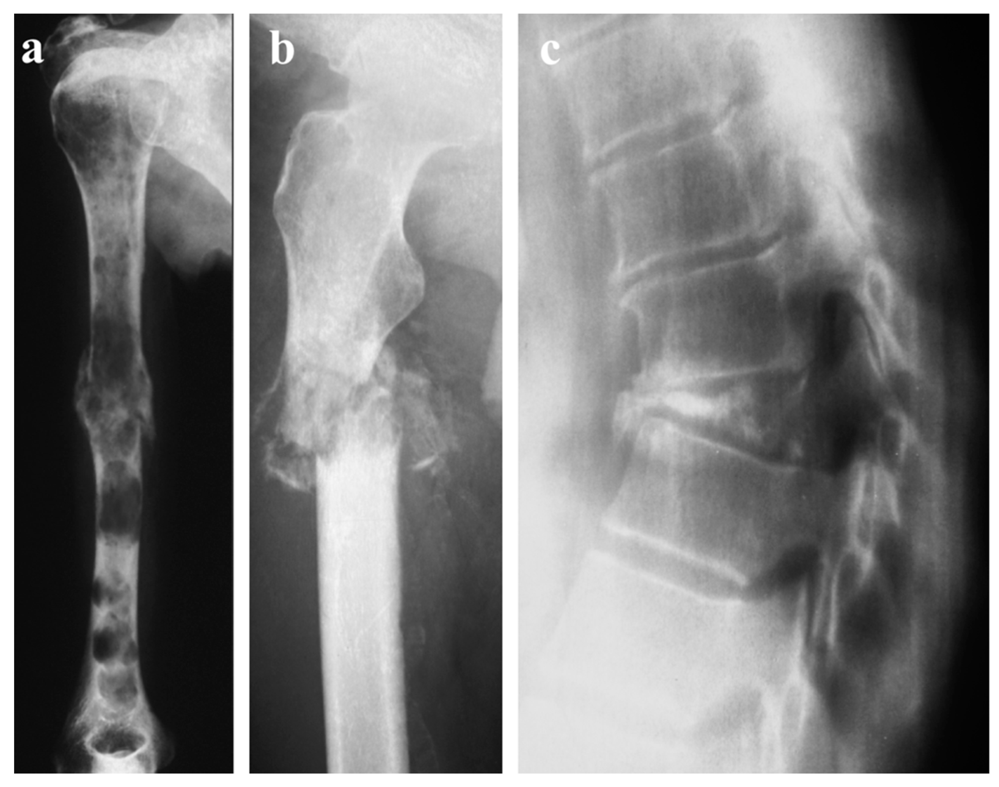 Diagnostics 13 01438 g006
