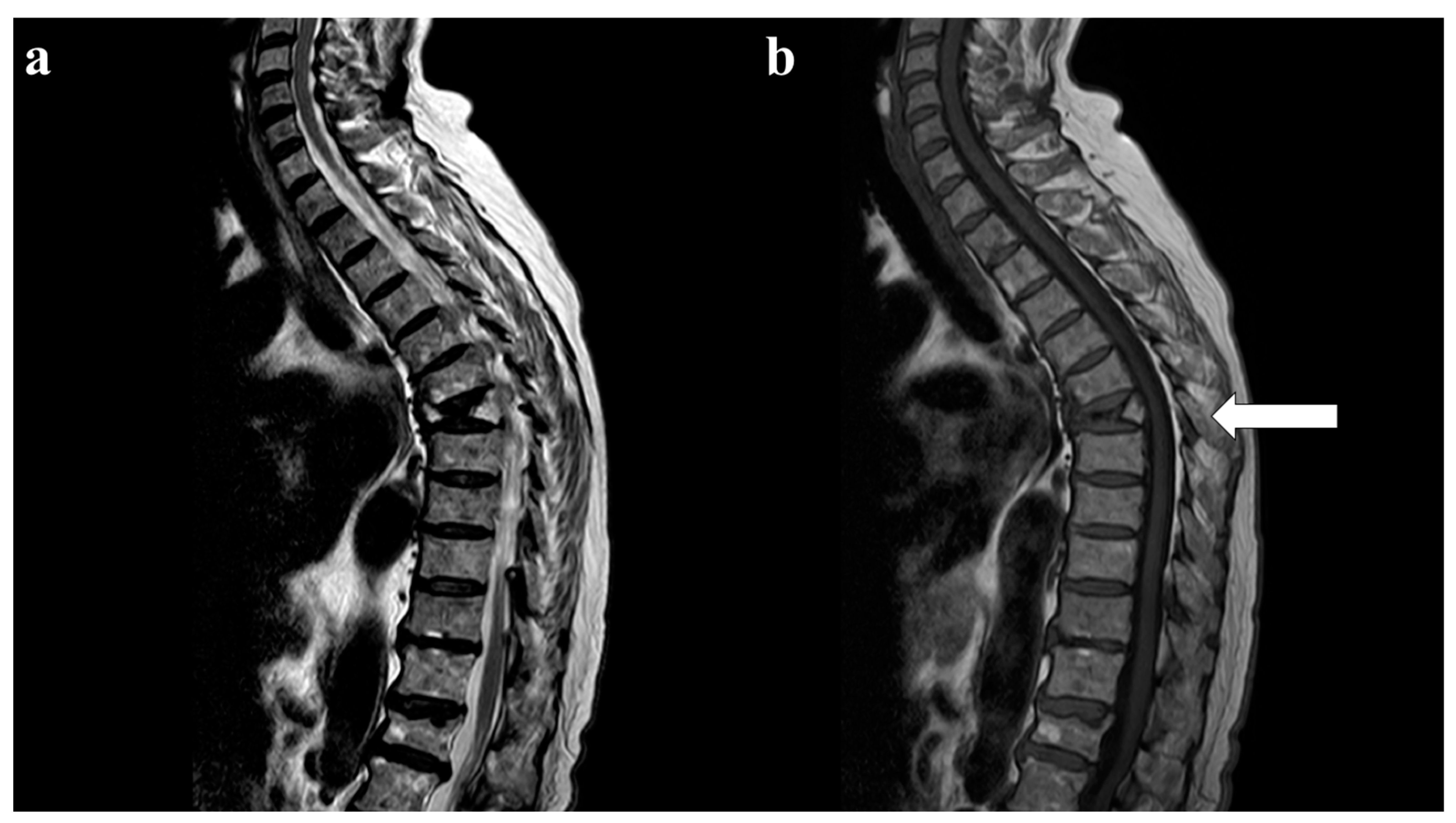 Diagnostics 13 01438 g009