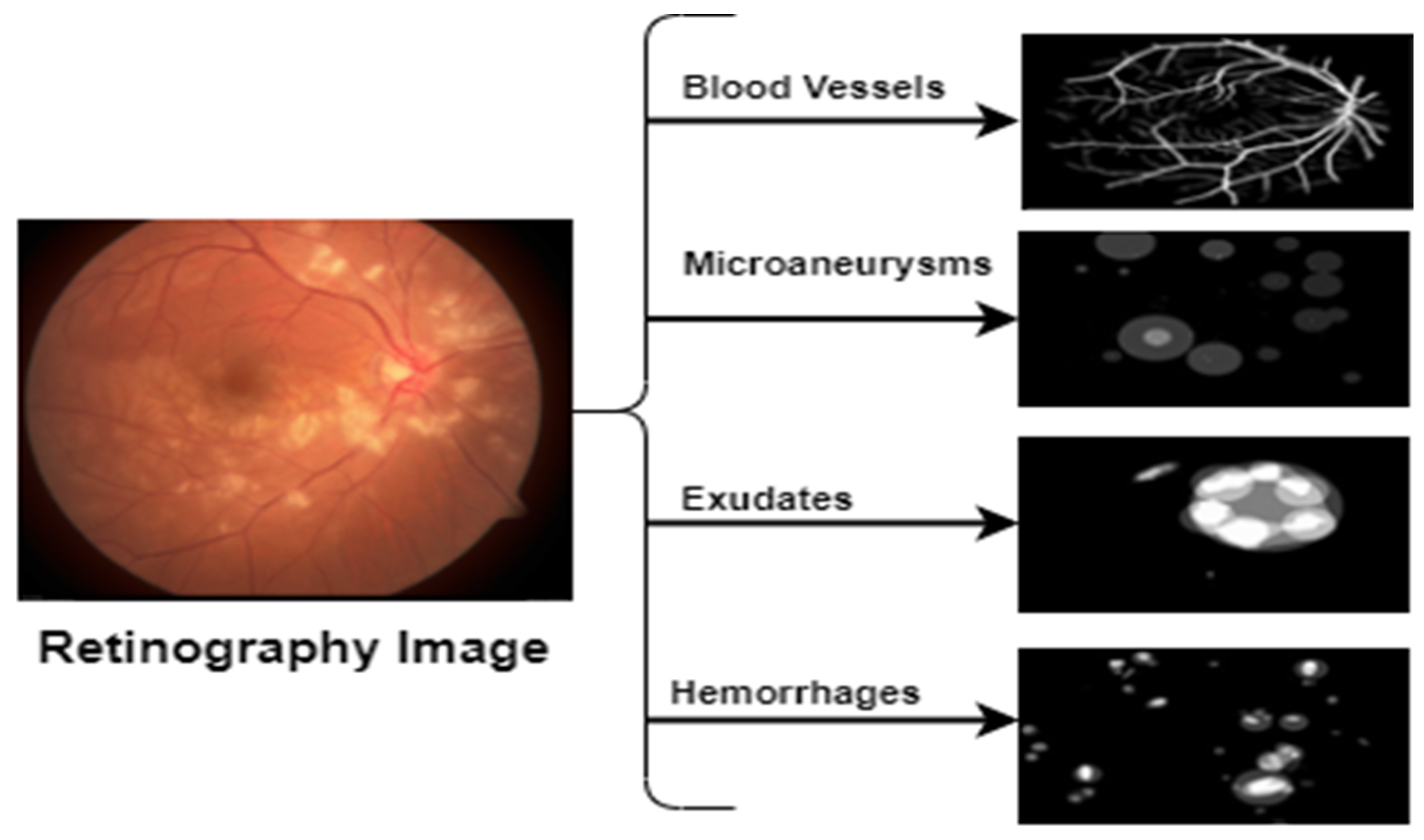 Diagnostics 13 01439 g004
