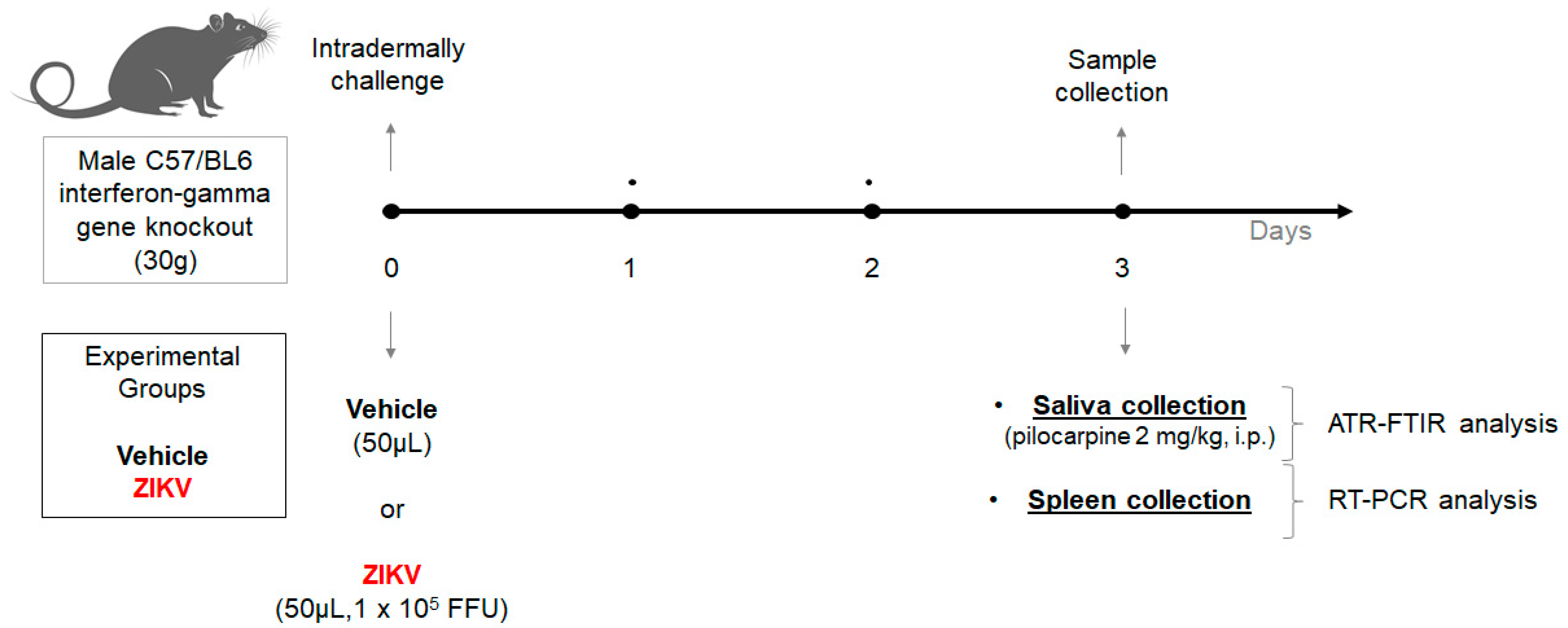 Diagnostics 13 01443 g001