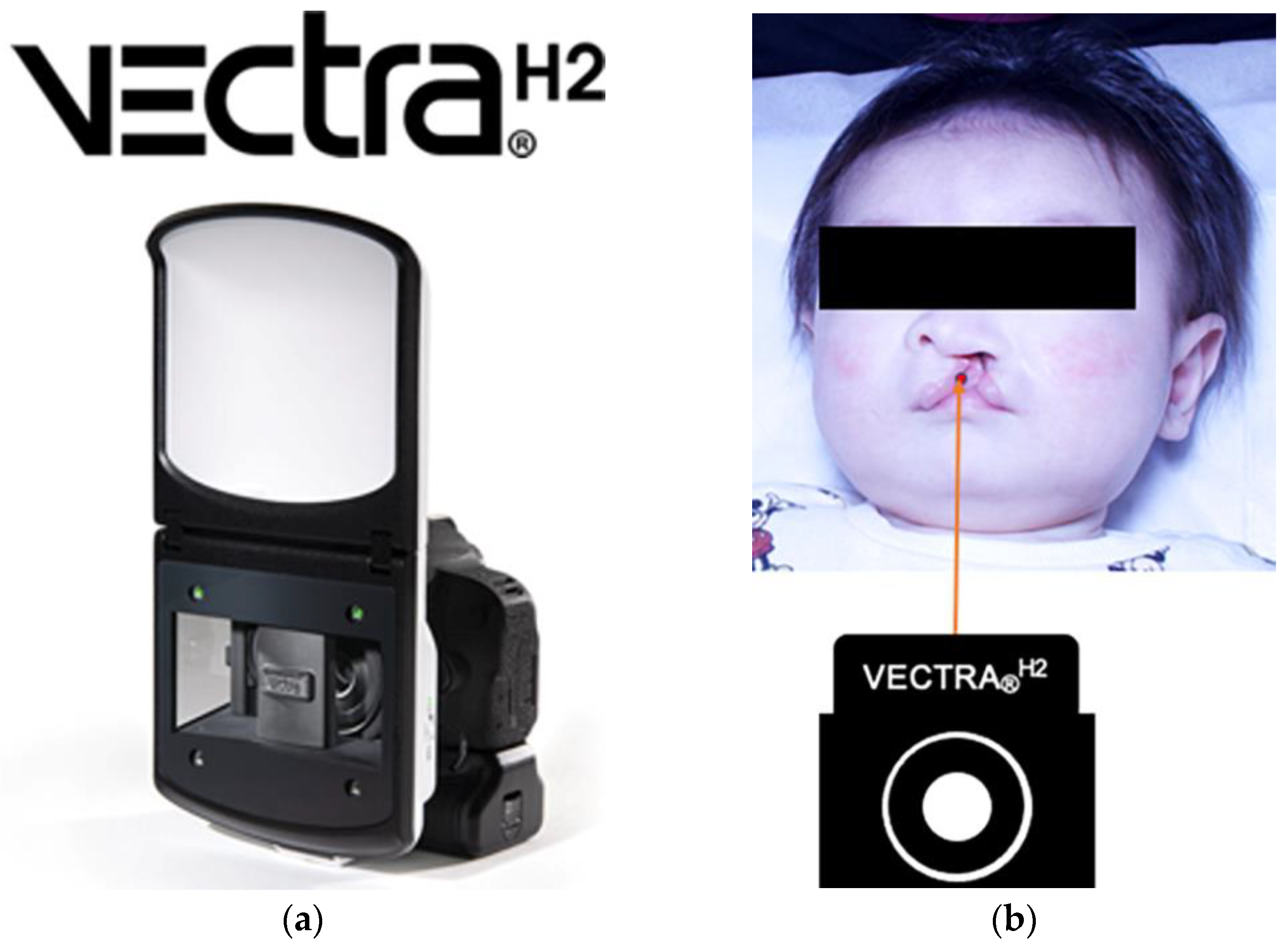 Diagnostics 13 01444 g001