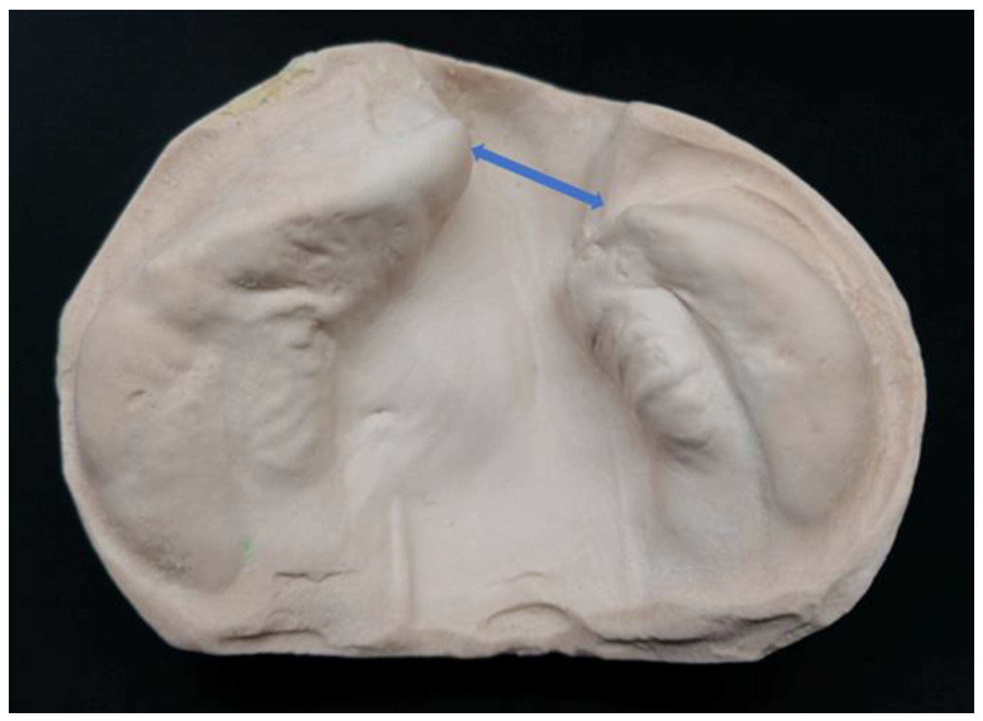 Diagnostics 13 01444 g004