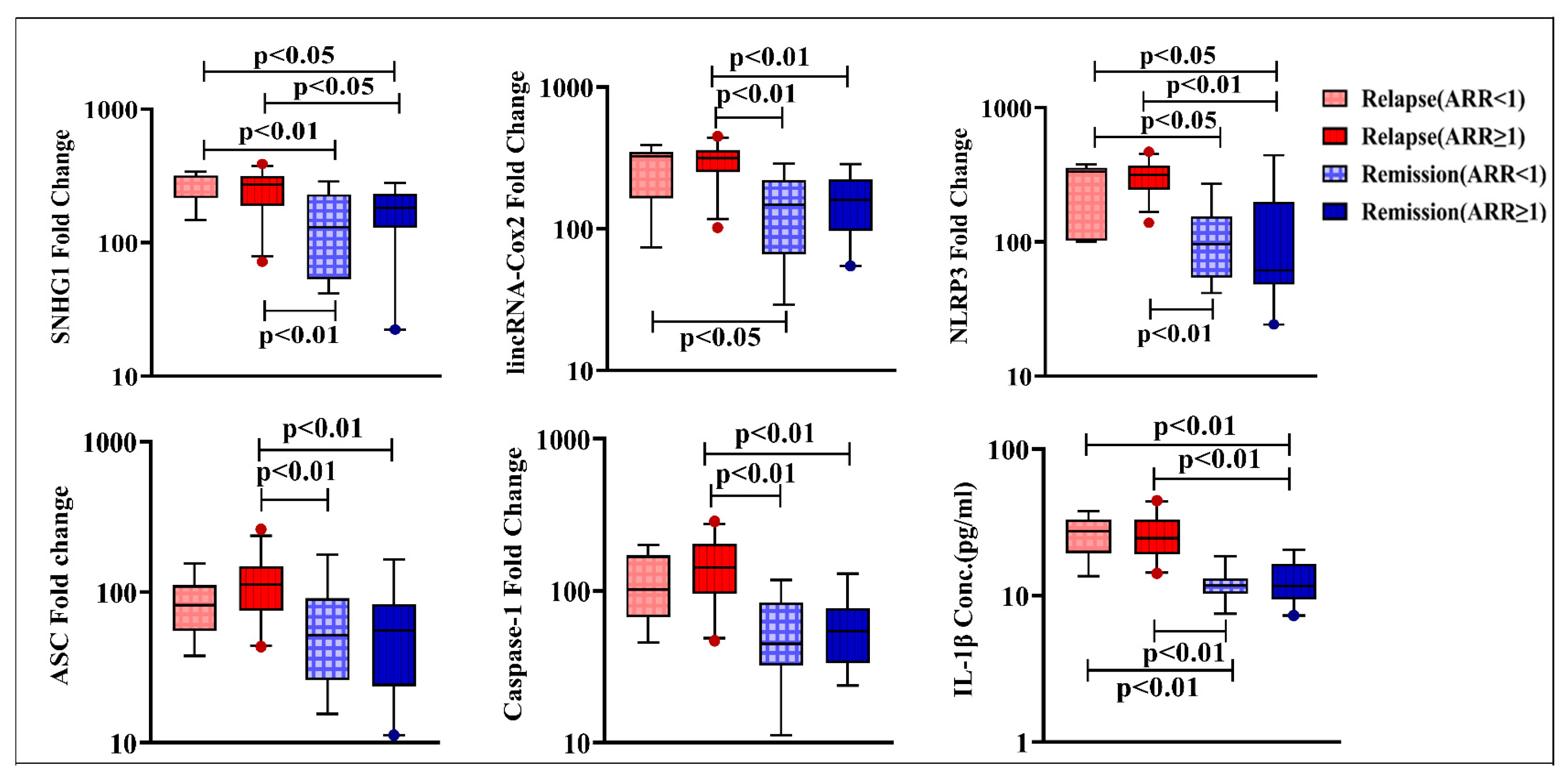 Diagnostics 13 01448 g003