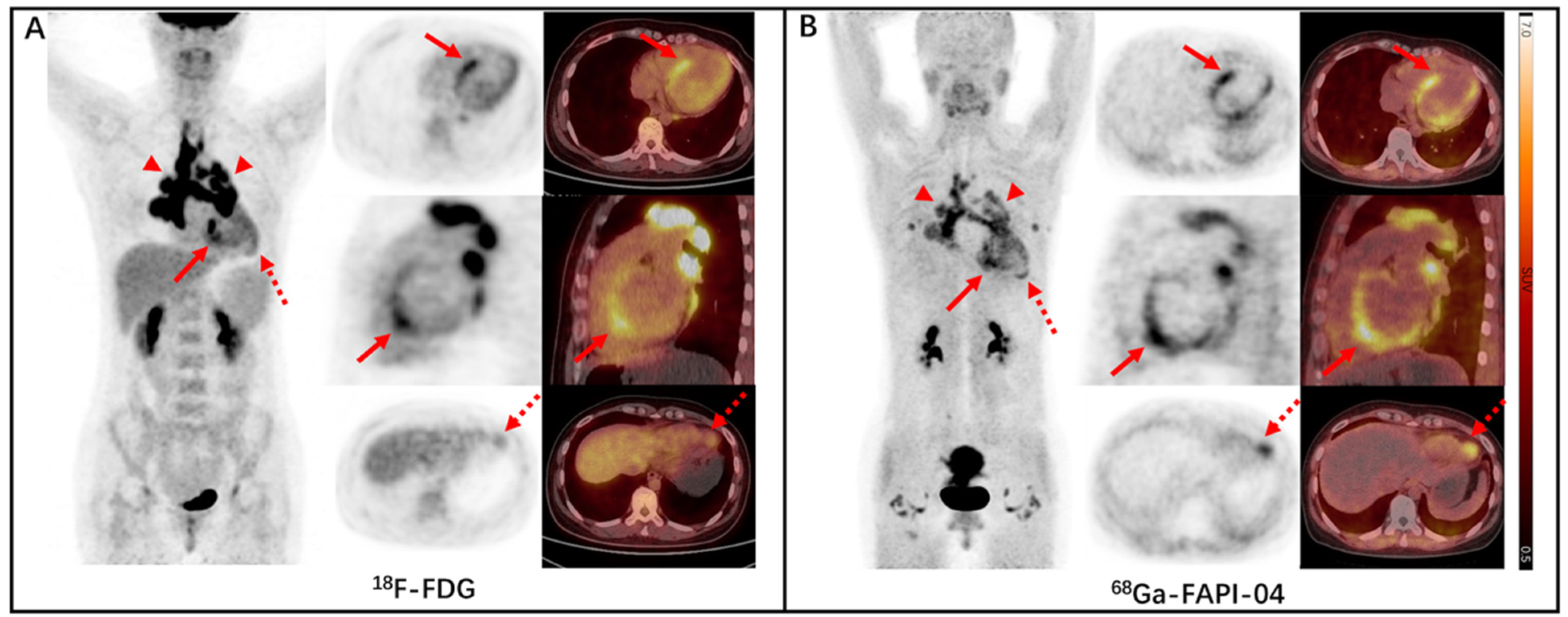 Diagnostics 13 01450 g002