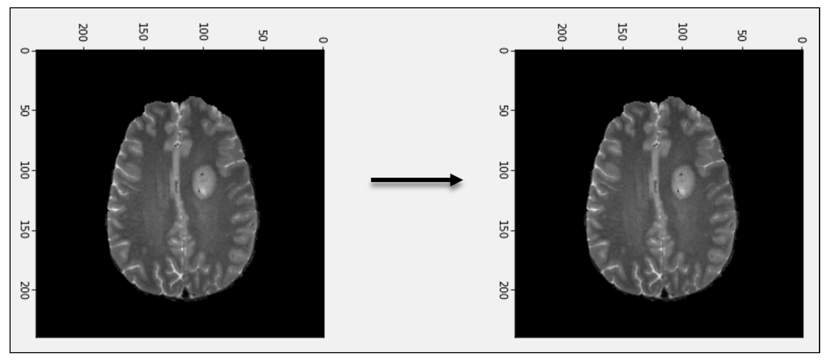 Diagnostics 13 01456 g002