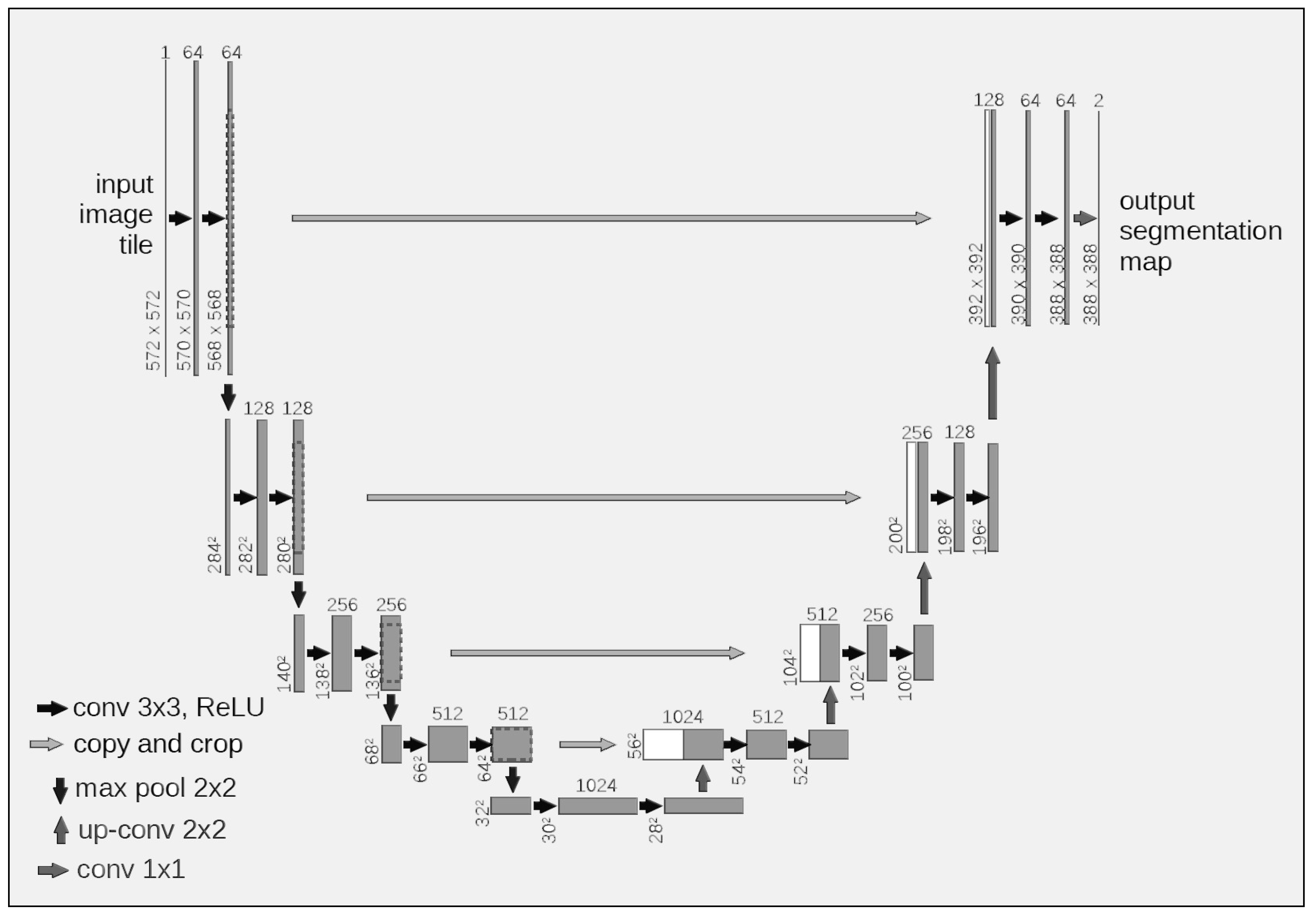 Diagnostics 13 01456 g004