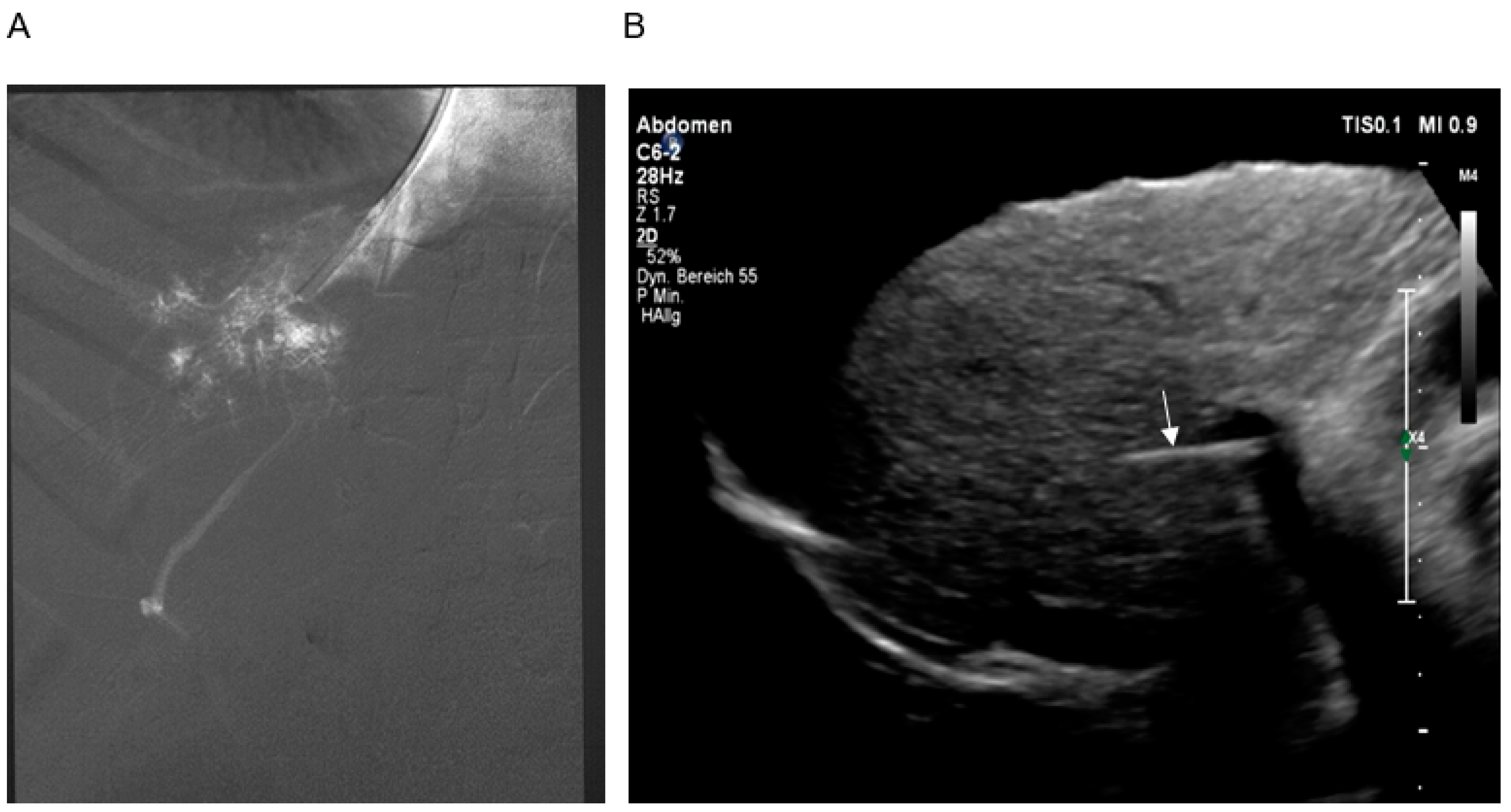 Diagnostics 13 01458 g002