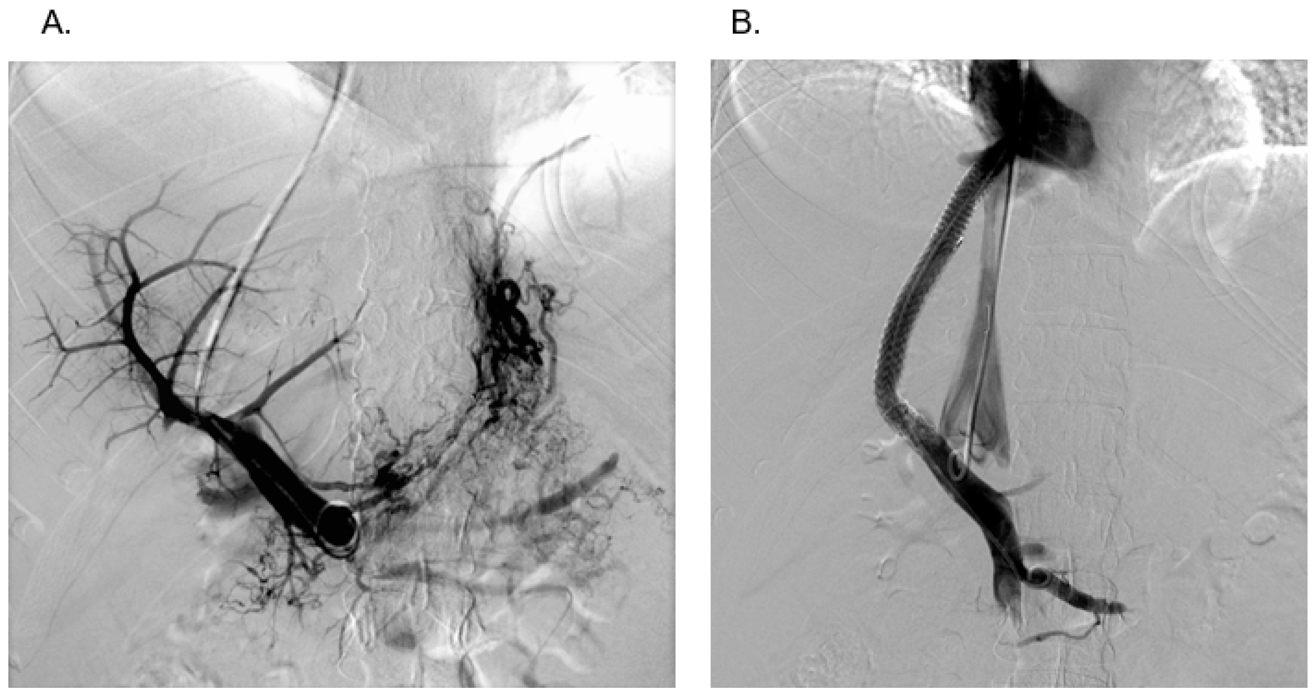 Diagnostics 13 01458 g003