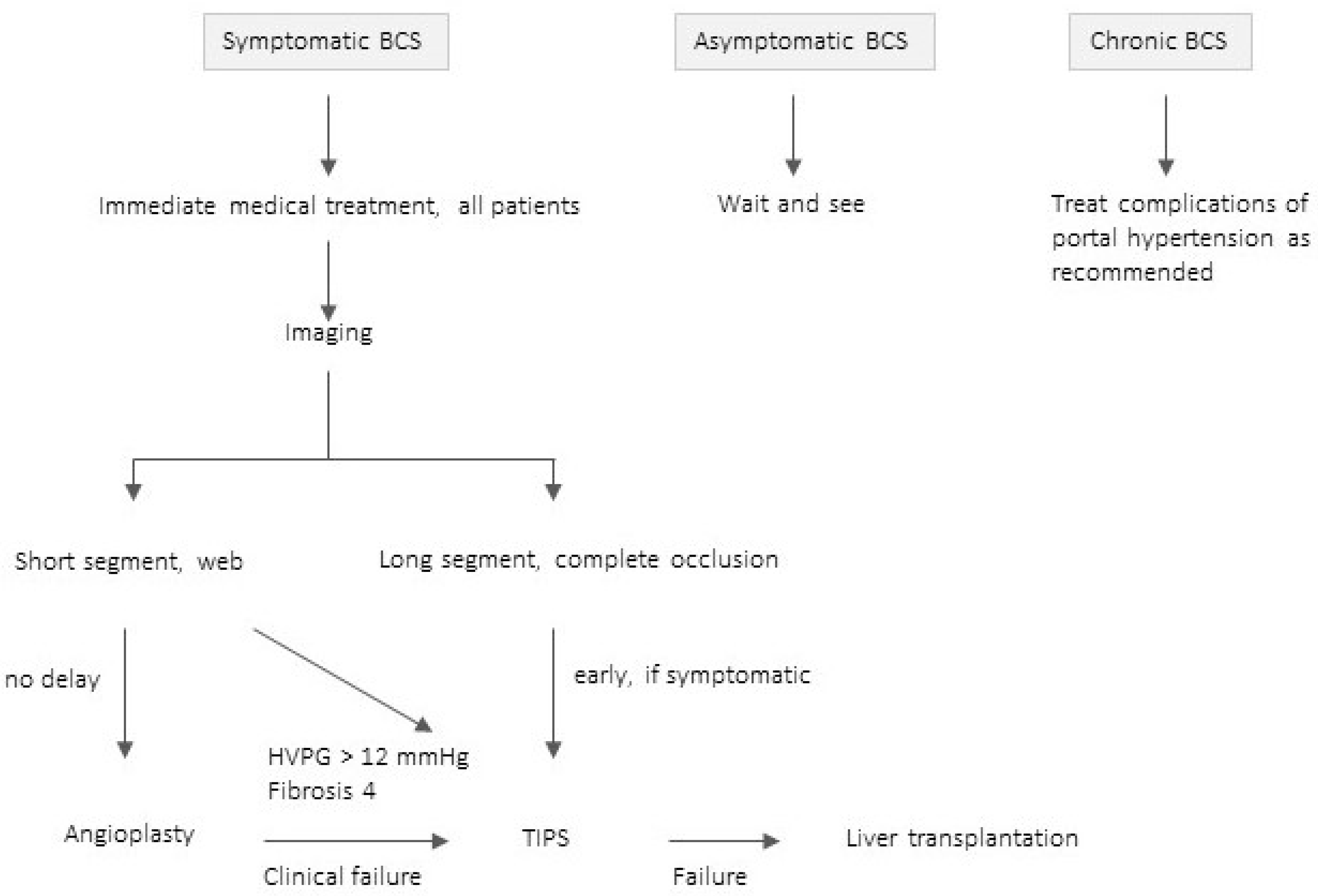 Diagnostics 13 01458 g010