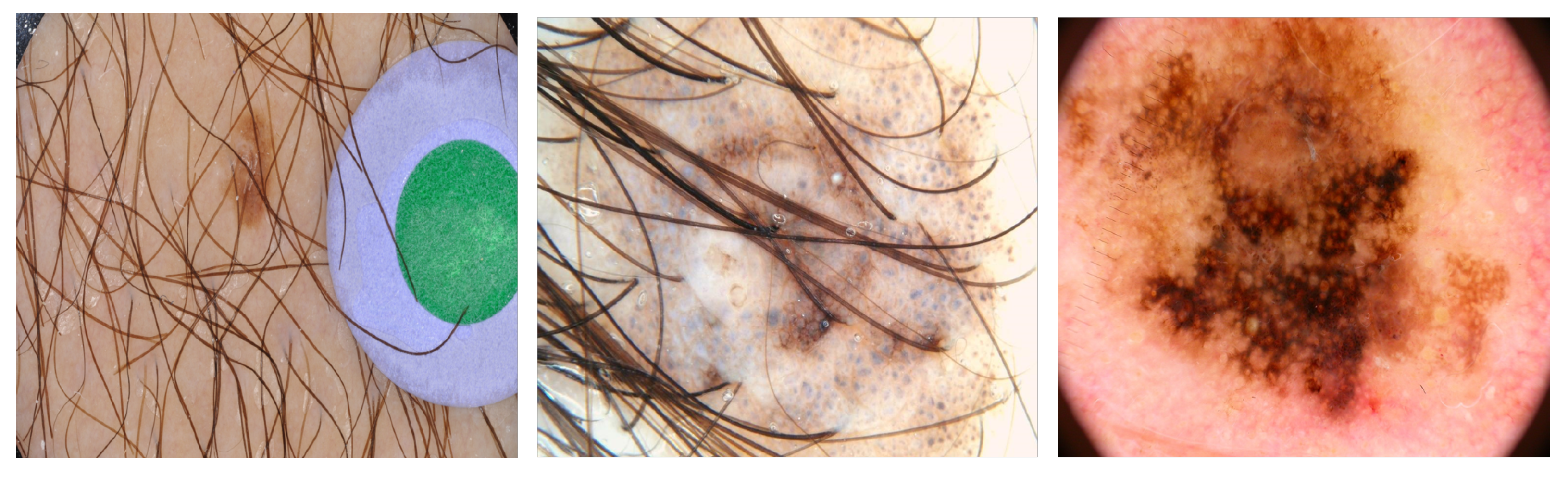 Diagnostics 13 01460 g001