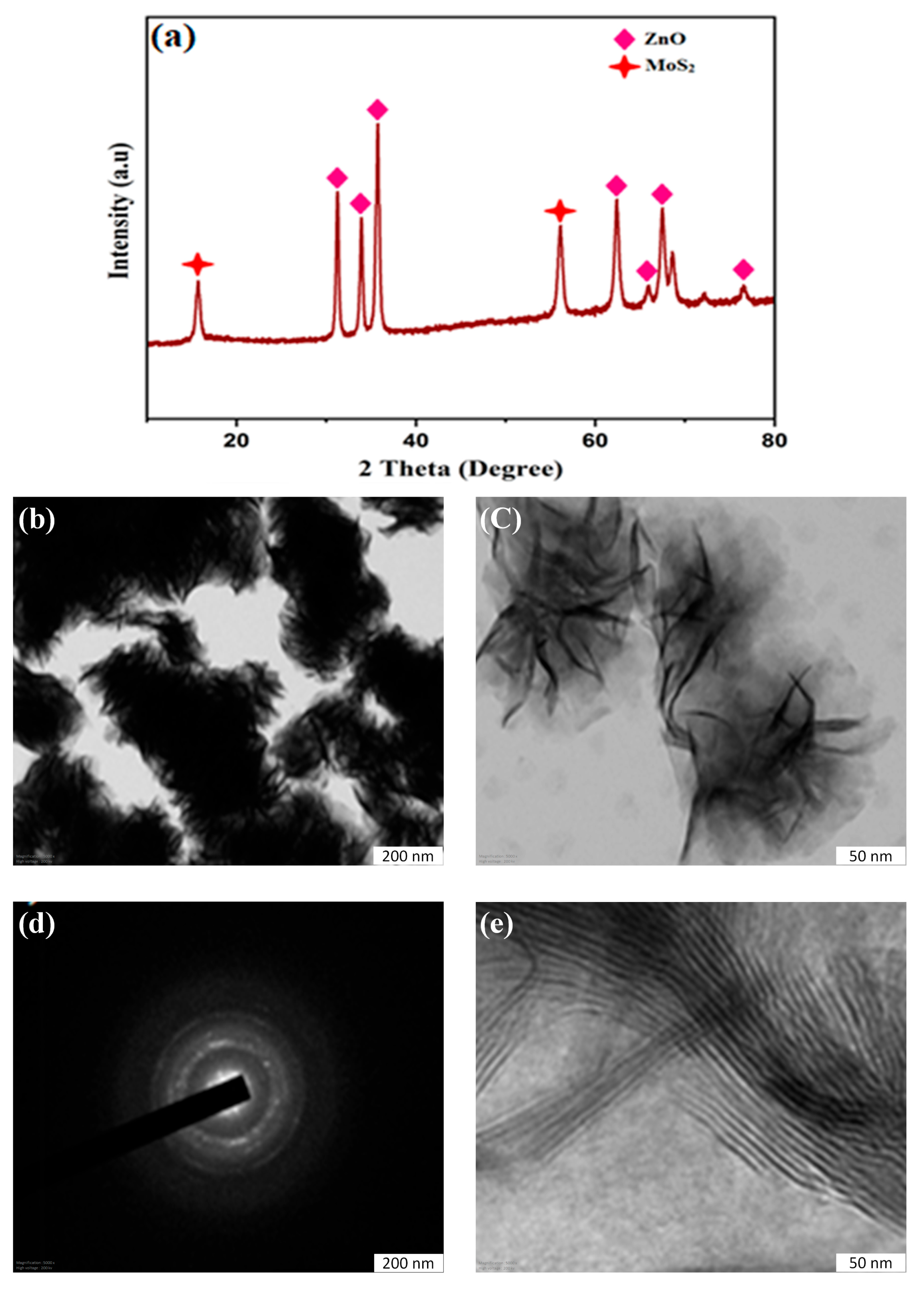 Diagnostics 13 01464 g001