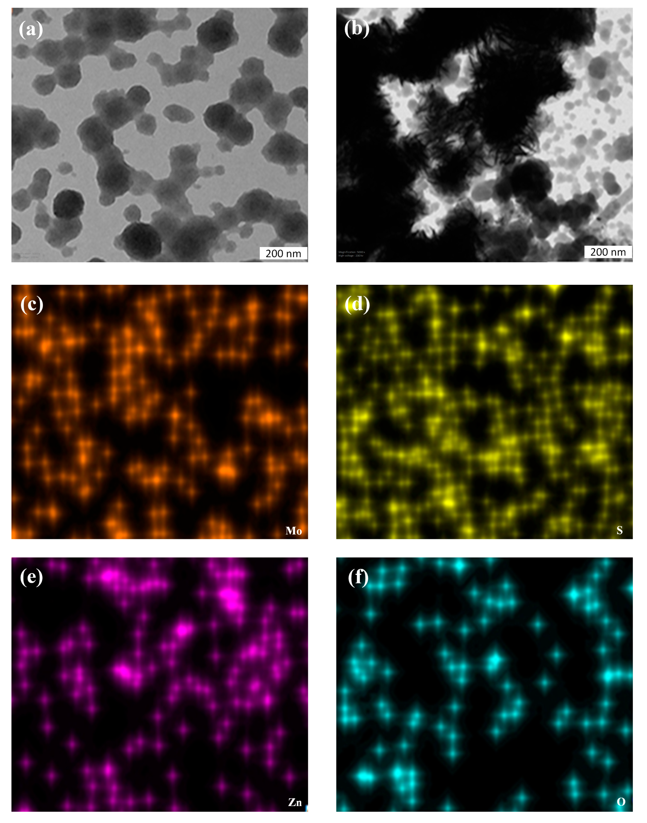 Diagnostics 13 01464 g002