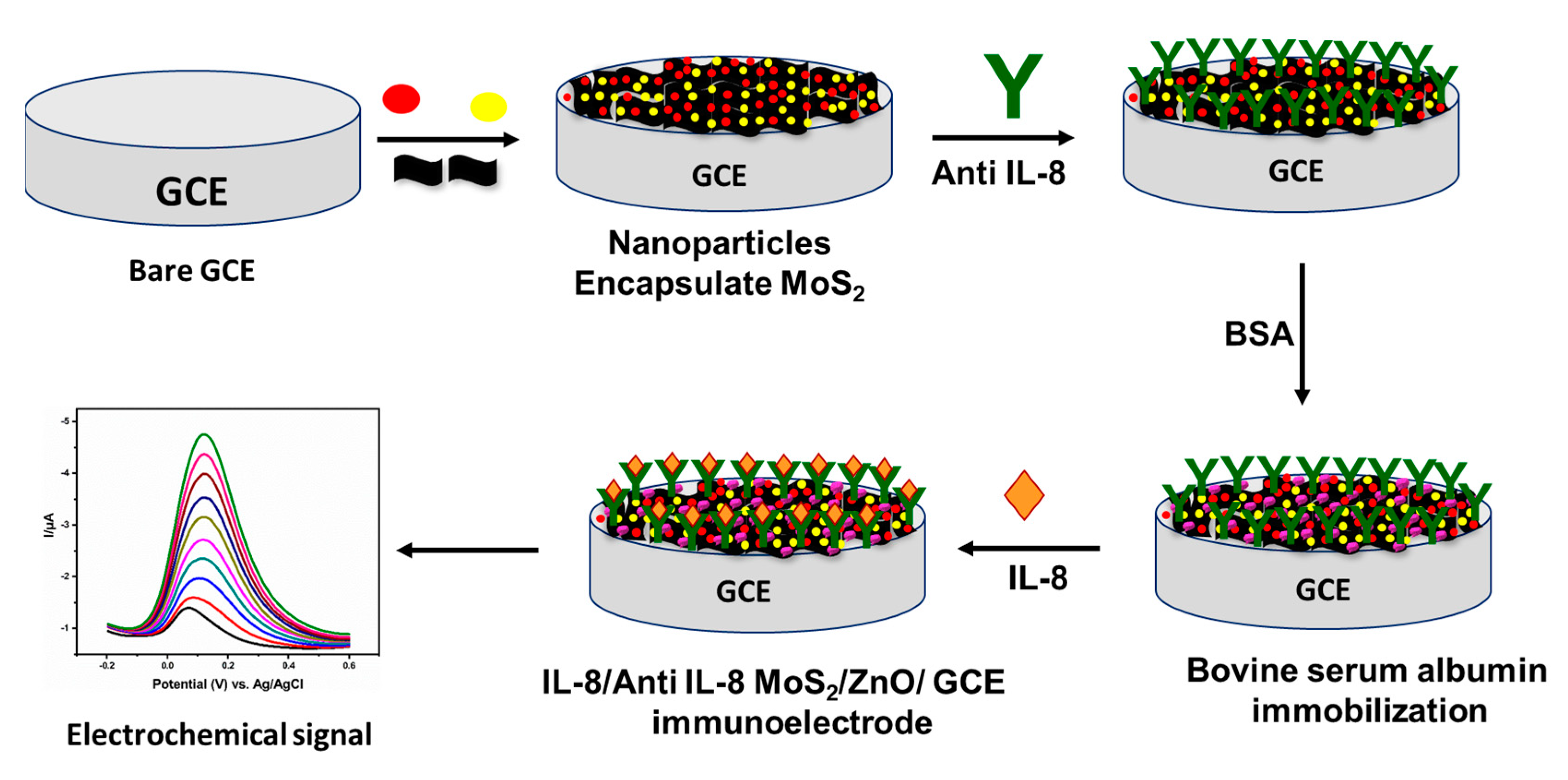 Diagnostics 13 01464 sch001