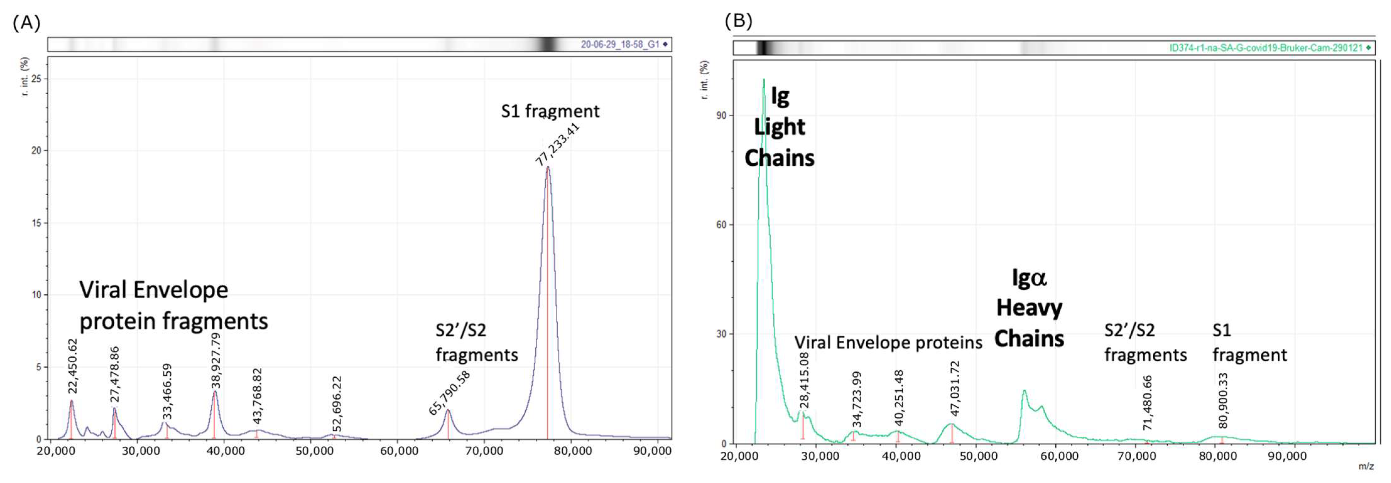 Diagnostics 13 01470 g002