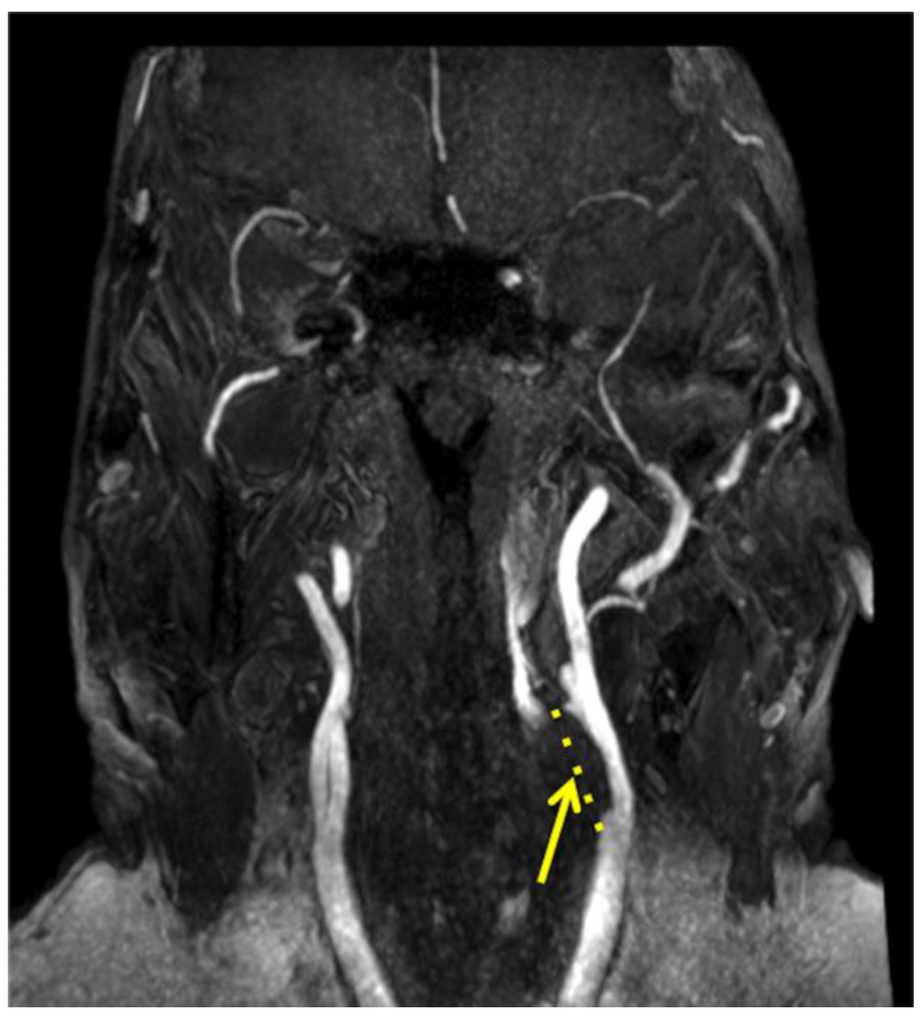 Diagnostics 13 01478 g002