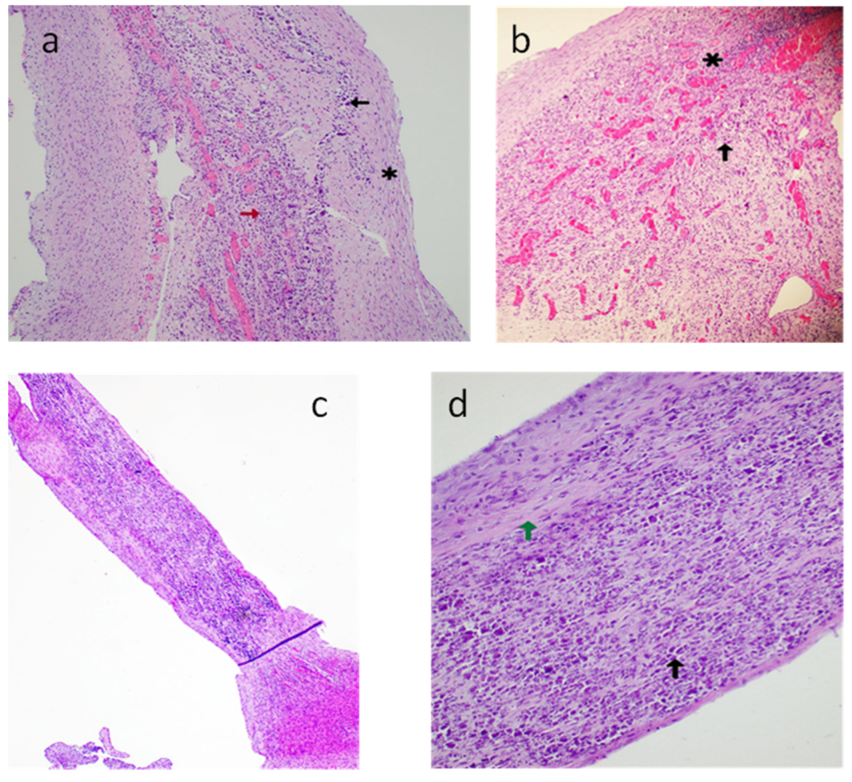 Diagnostics 13 01481 g008