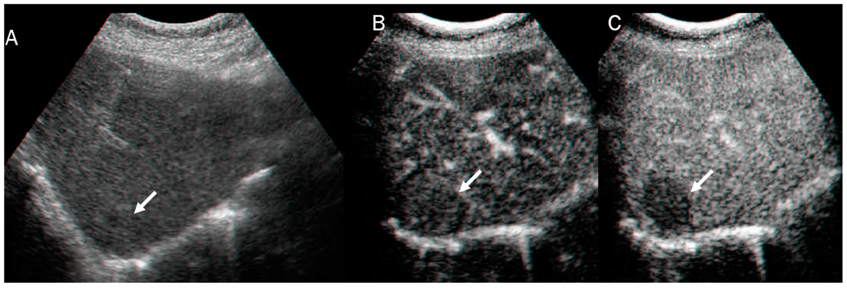 Diagnostics 13 01488 g003