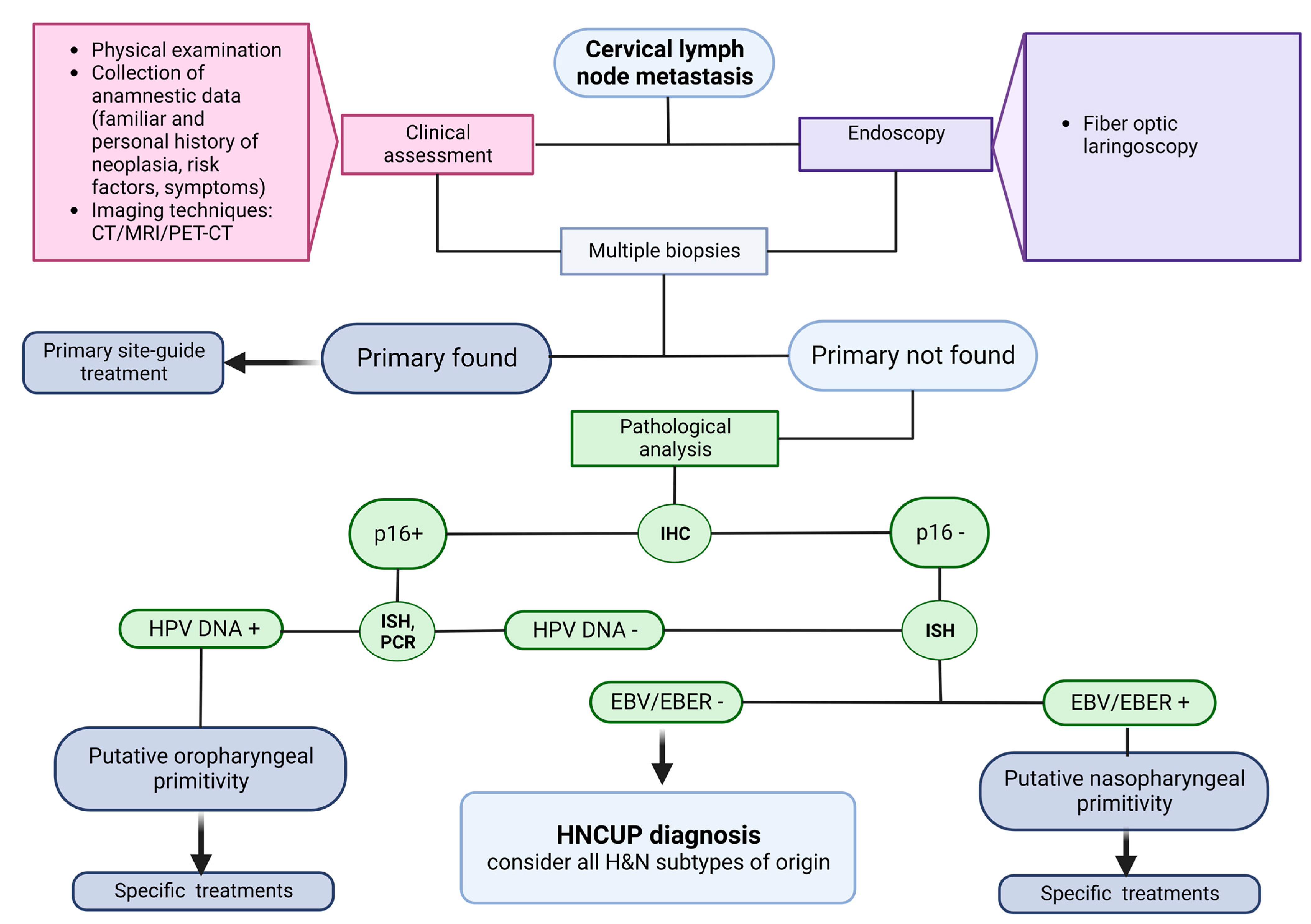 Diagnostics 13 01492 g001
