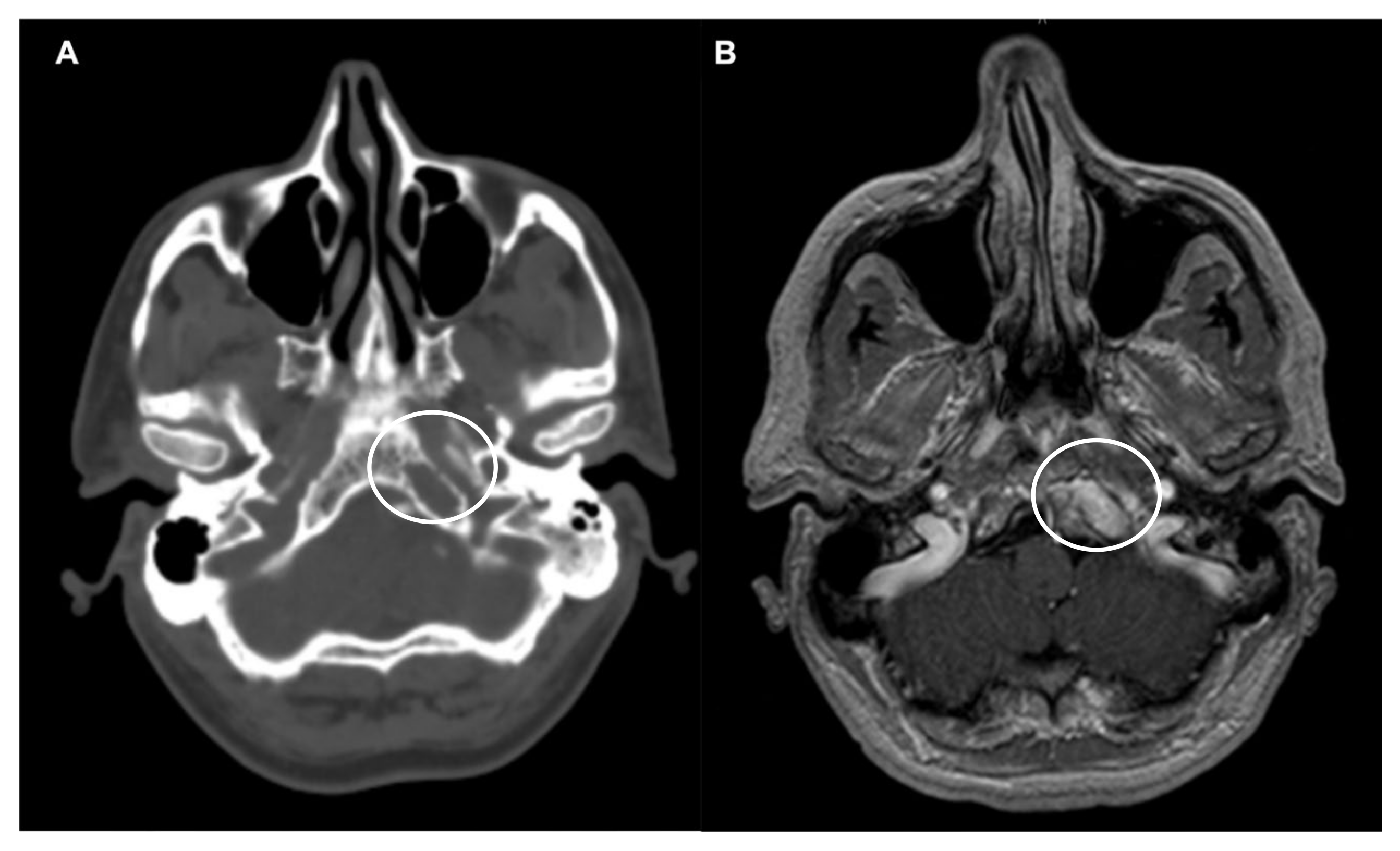 Diagnostics 13 01502 g002